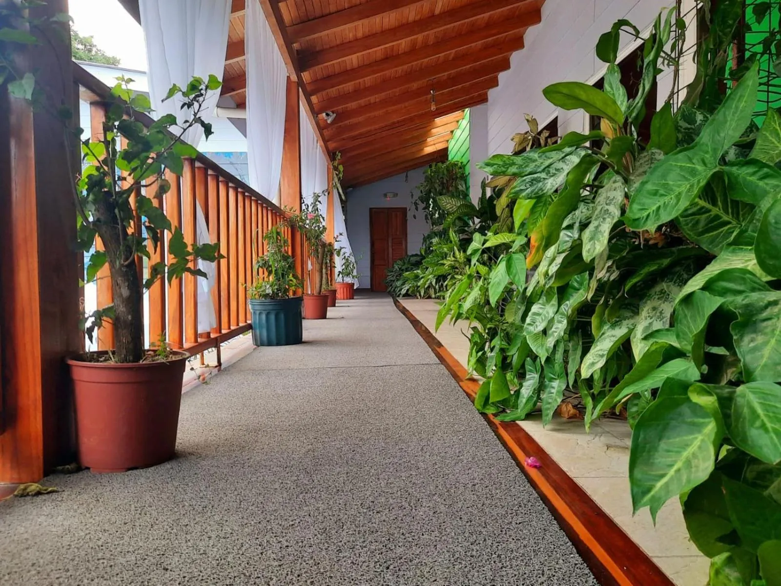 Patio in BellaVista Suites By Villas Verdes - Samara Beach