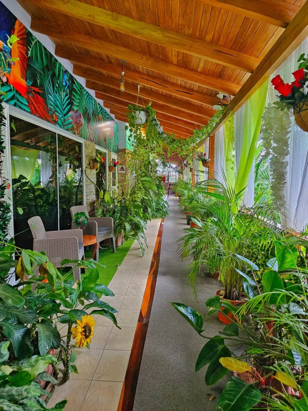 Property building in BellaVista Suites By Villas Verdes - Samara Beach Property building in BellaVista Suites By Villas Verdes - Samara Beach