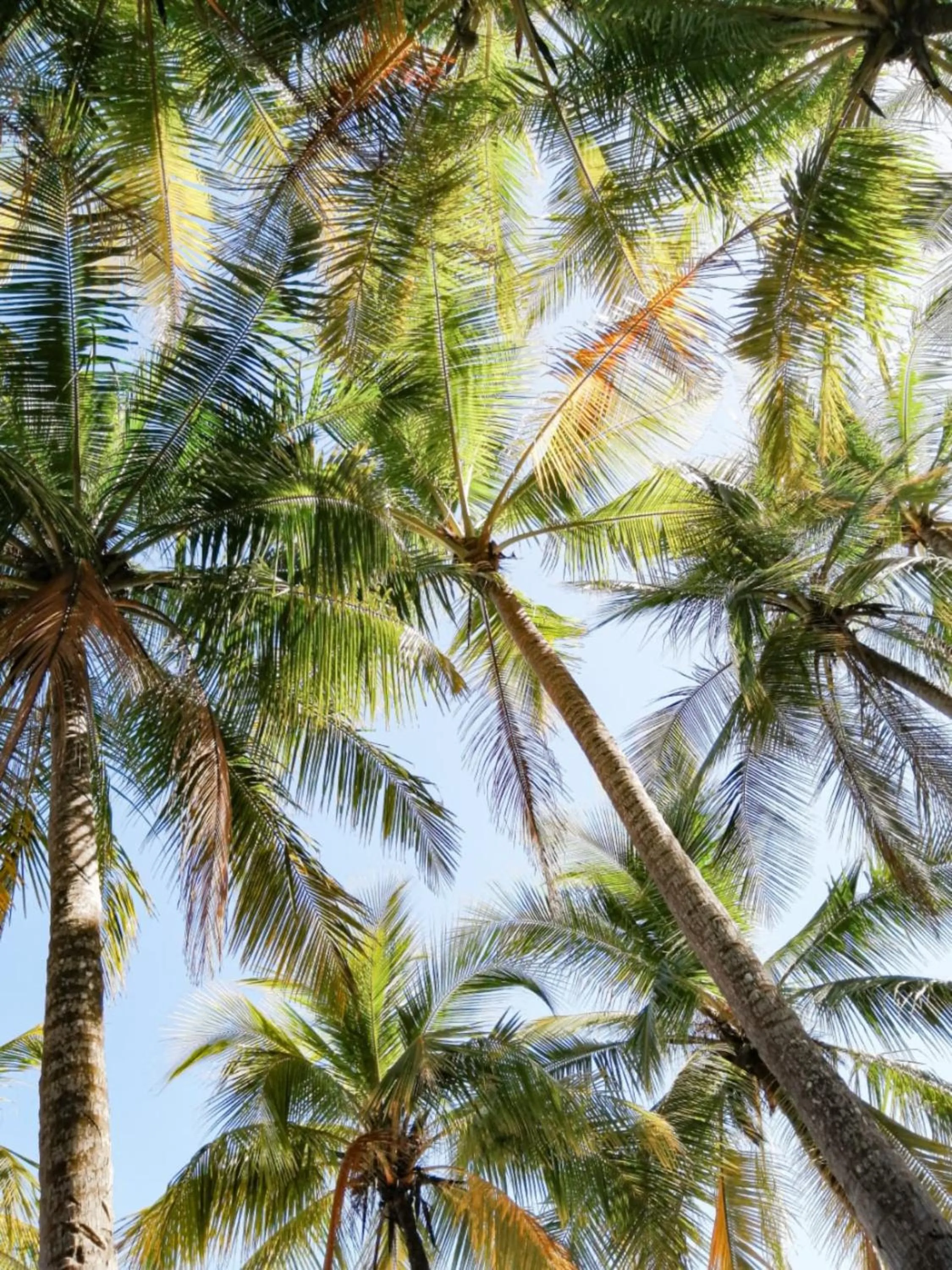 Sea view in BellaVista Suites By Villas Verdes - Samara Beach