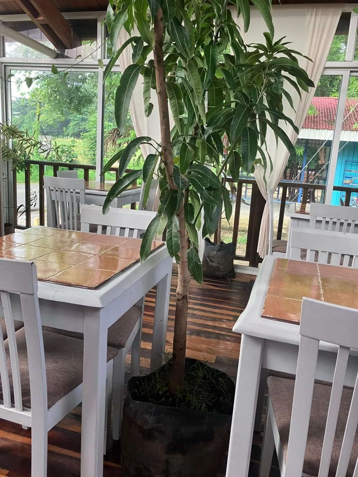 Restaurant/places to eat in BellaVista Suites By Villas Verdes - Samara Beach