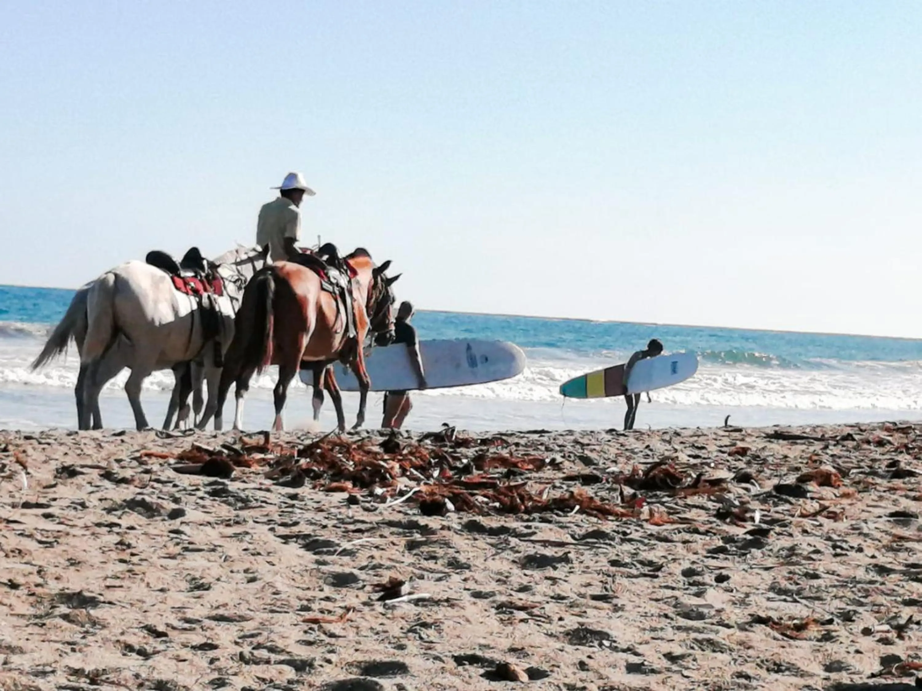 Beach in BellaVista Suites By Villas Verdes - Samara Beach