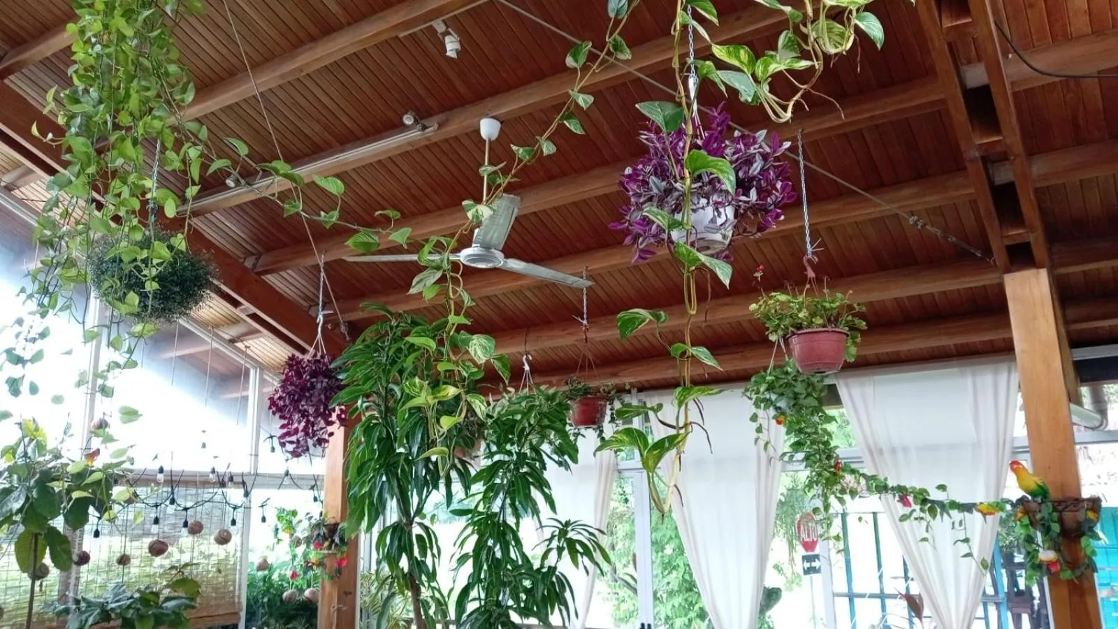 Restaurant/places to eat in BellaVista Suites By Villas Verdes - Samara Beach