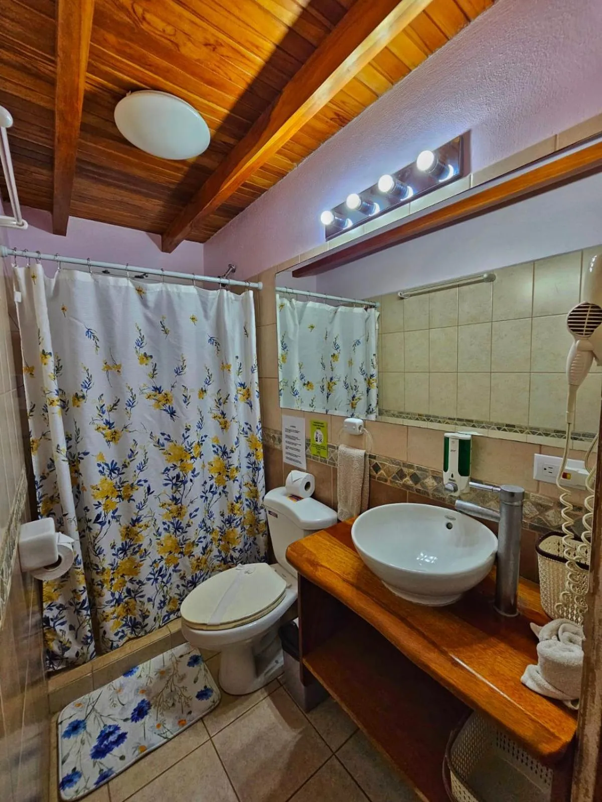Bathroom in BellaVista Suites By Villas Verdes - Samara Beach