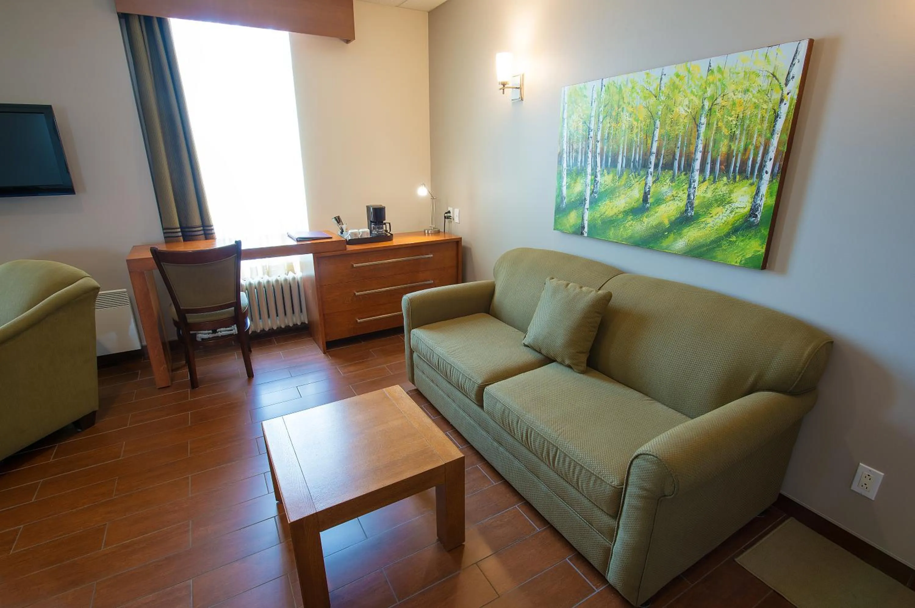 Day in Hotel du Fjord