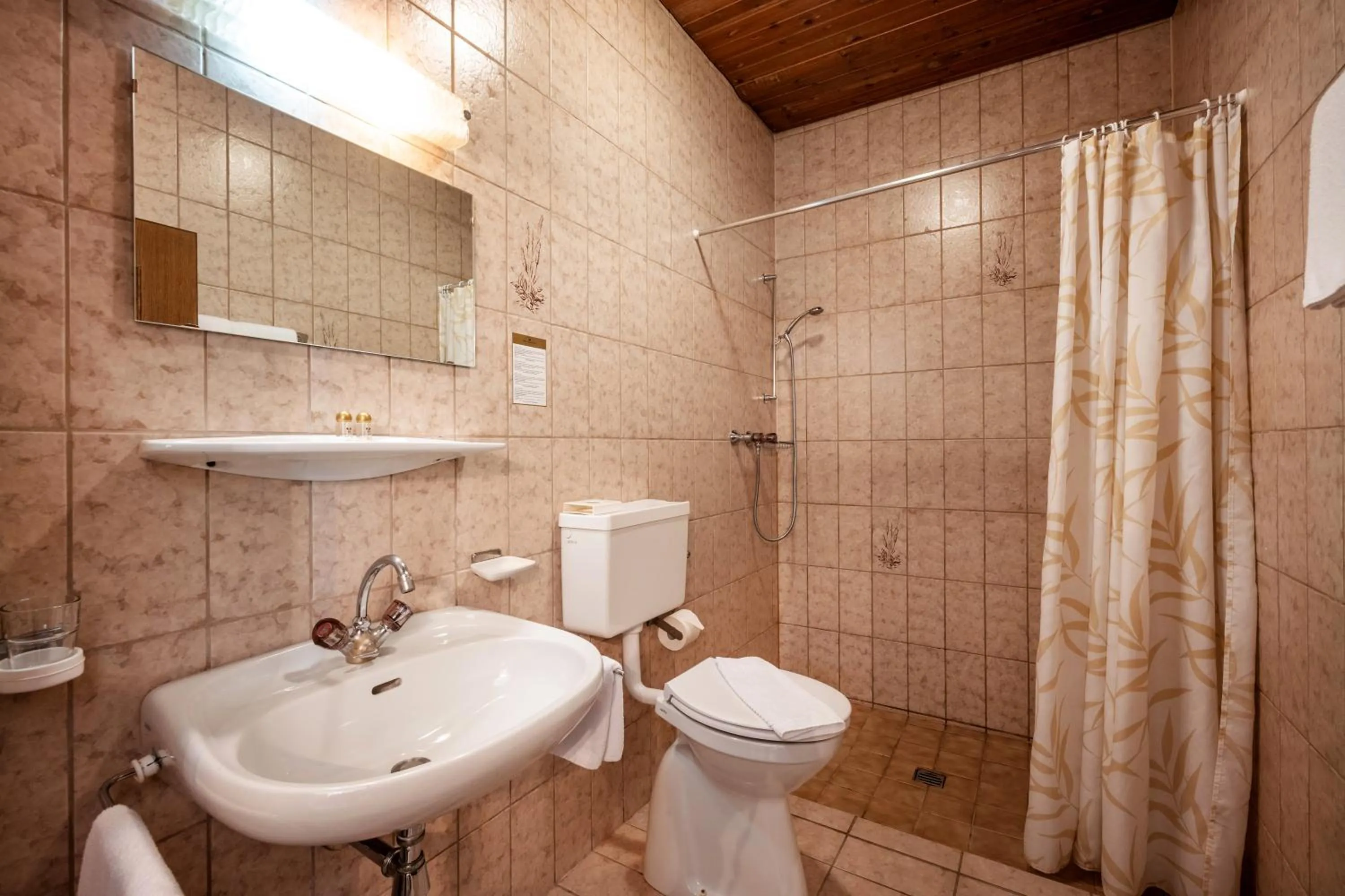 Shower in Alpenhotel Edelweiss