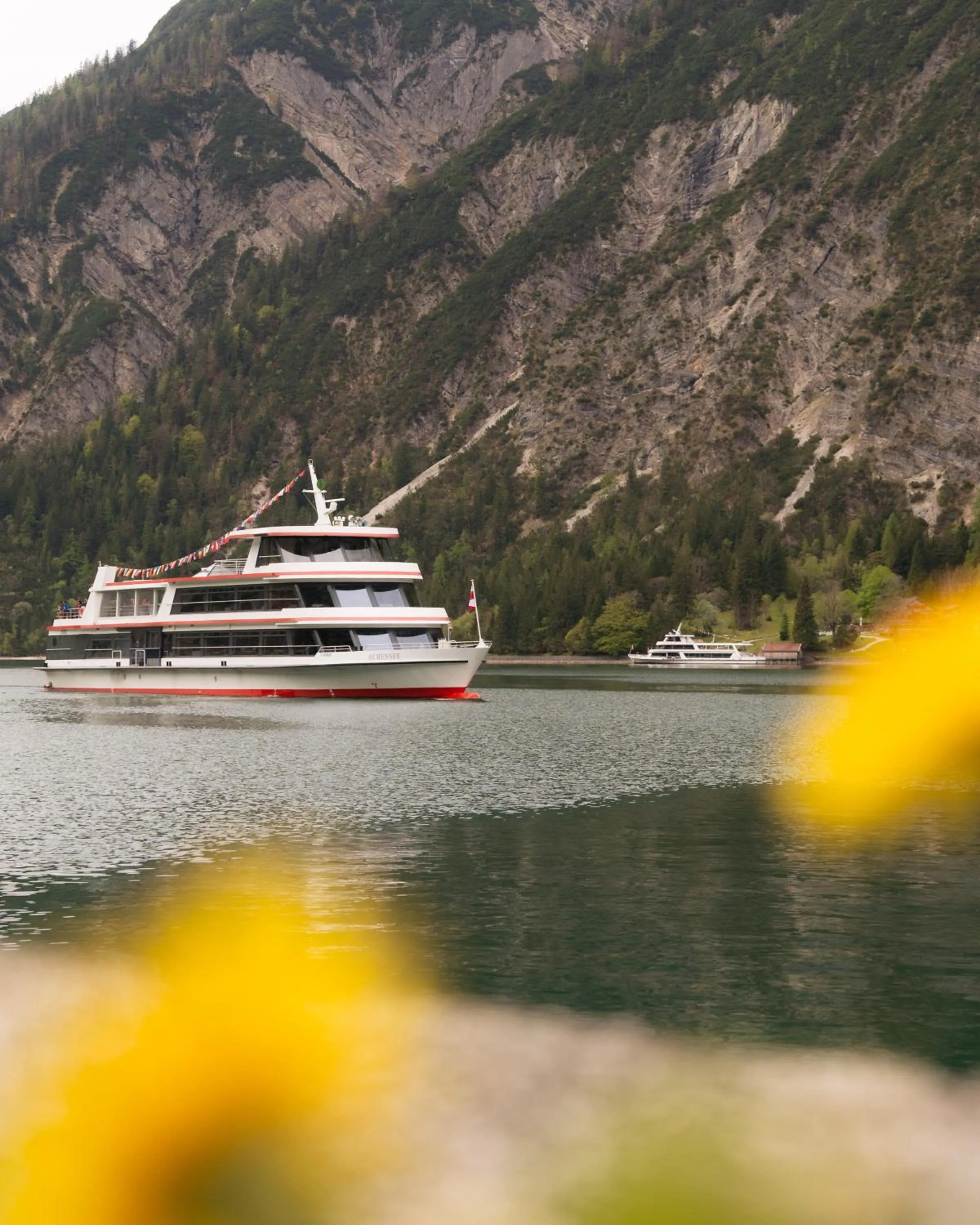 Natural landscape in Alpenhotel Edelweiss