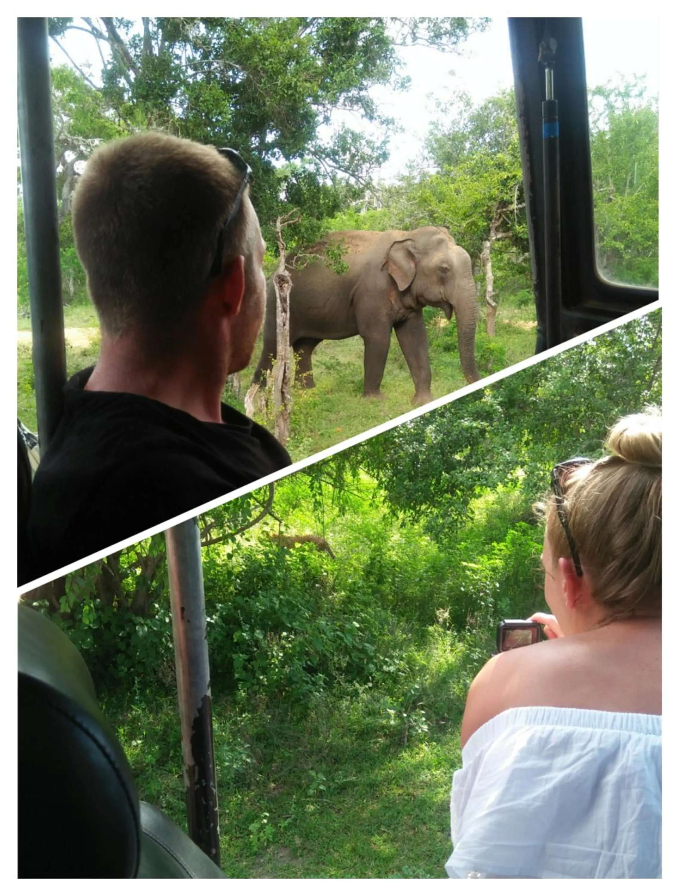 People in Nehansa Resort and safari