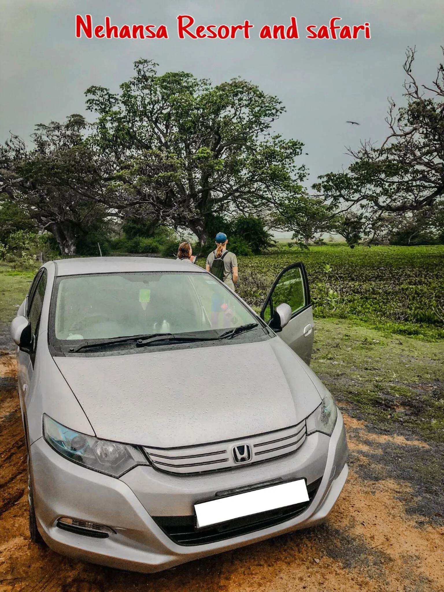 Evening entertainment in Nehansa Resort and safari