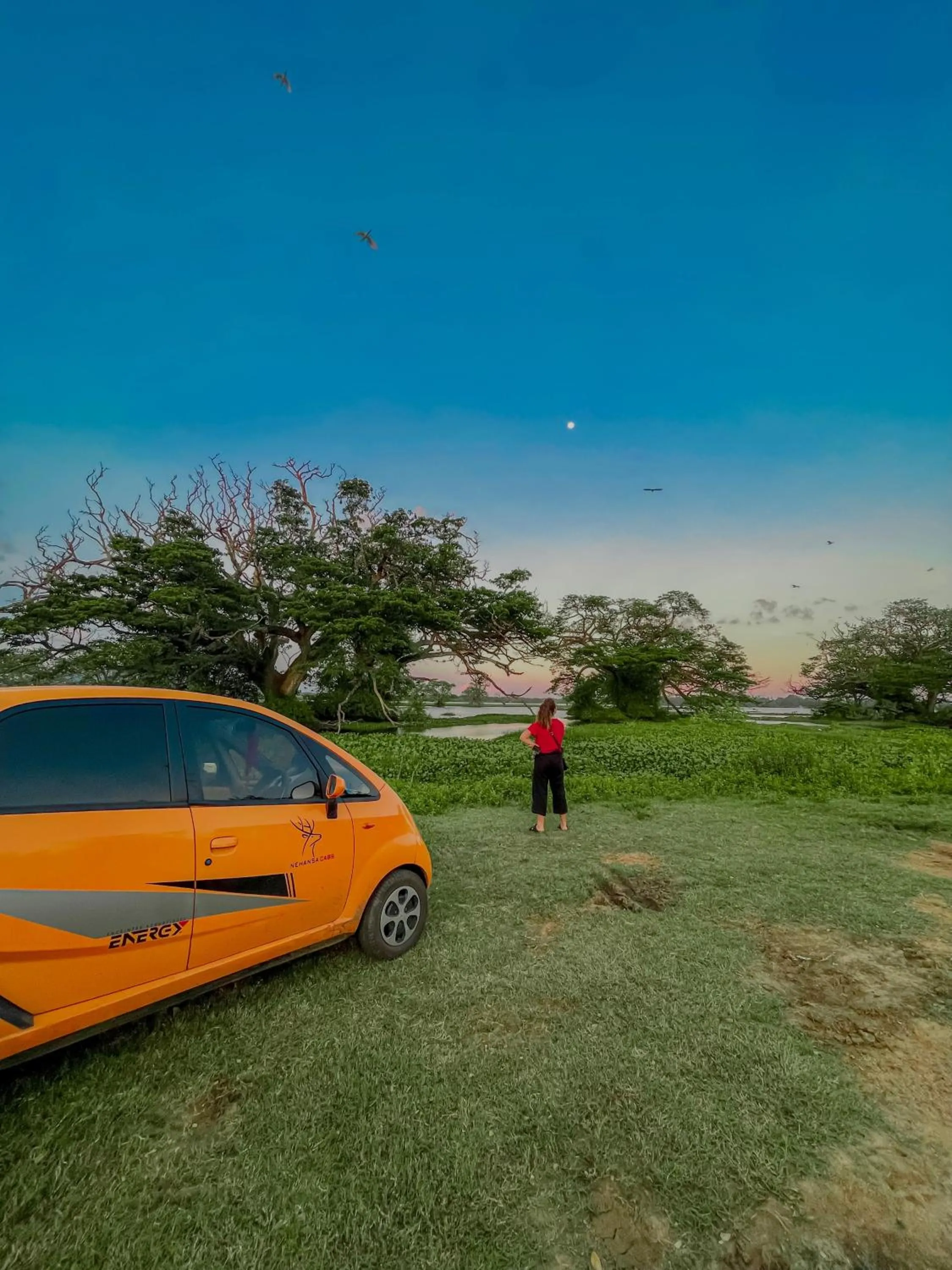 Sunset in Nehansa Resort and safari