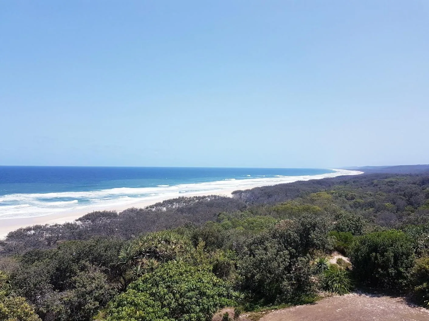 Whalewatch Ocean Beach Resort