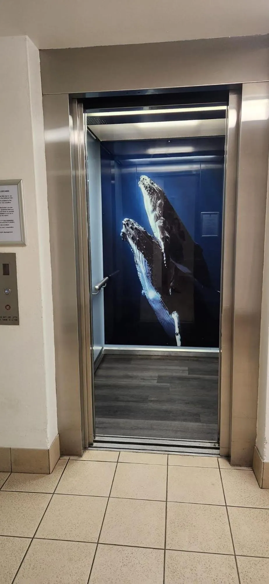 acessibility in Whalewatch Ocean Beach Resort