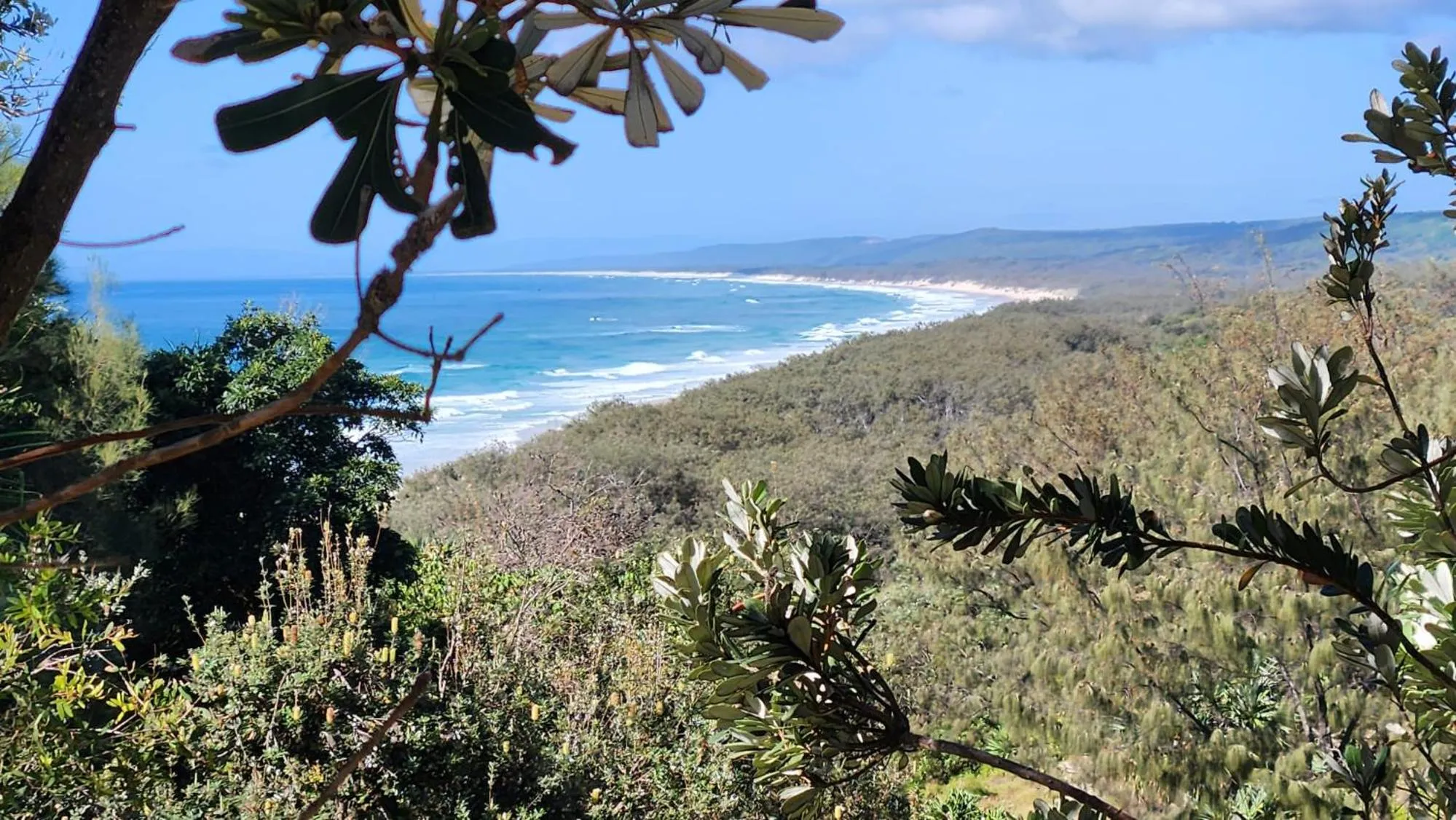 Whalewatch Ocean Beach Resort