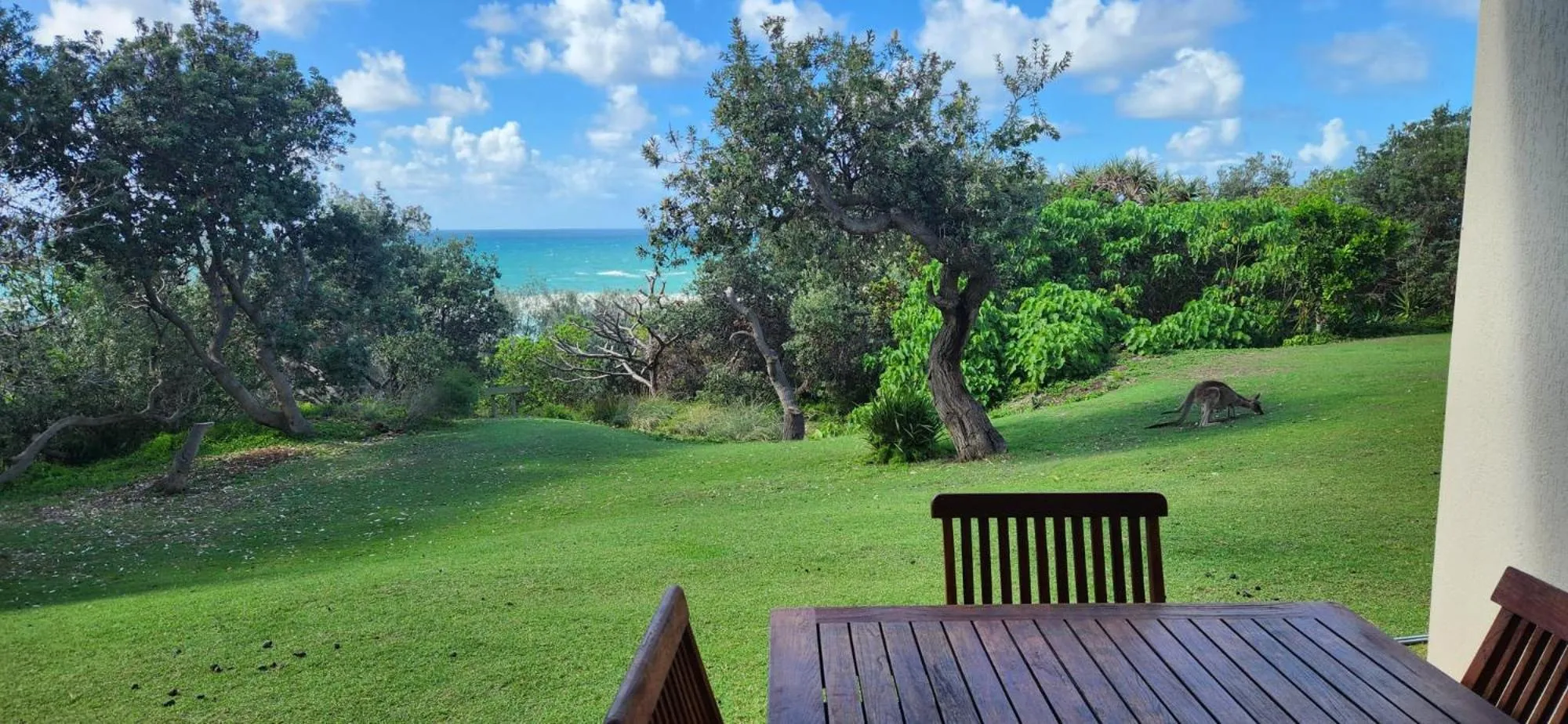 Natural landscape in Whalewatch Ocean Beach Resort