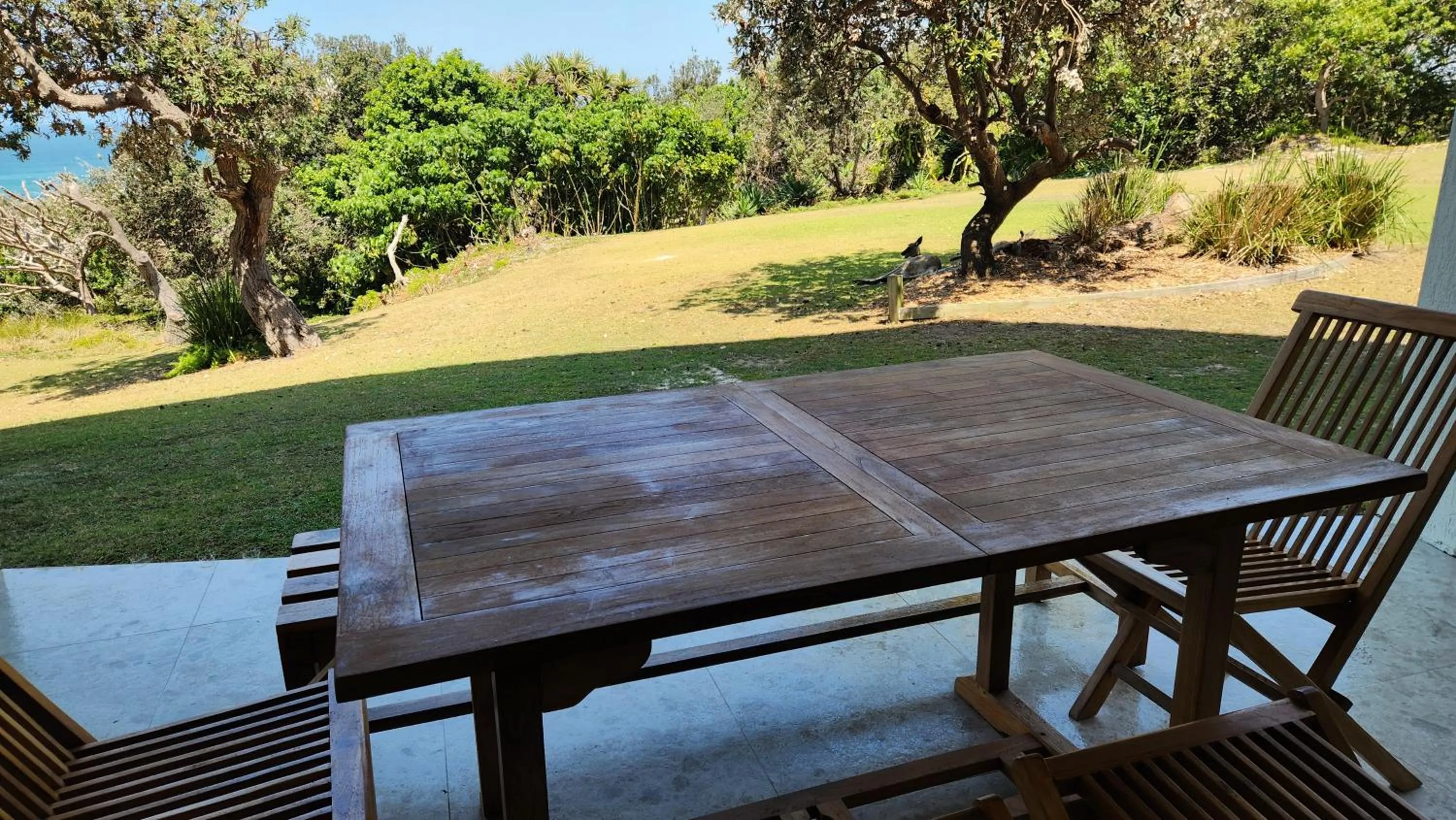 Whalewatch Ocean Beach Resort