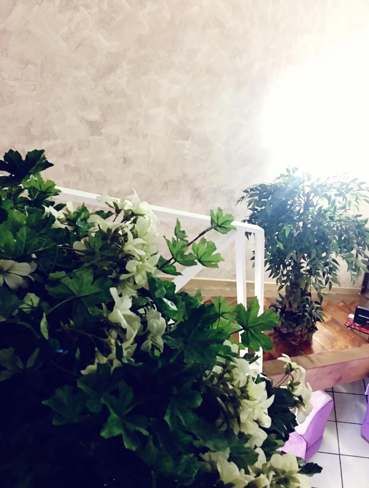 Suite Orchidea by Dimorra