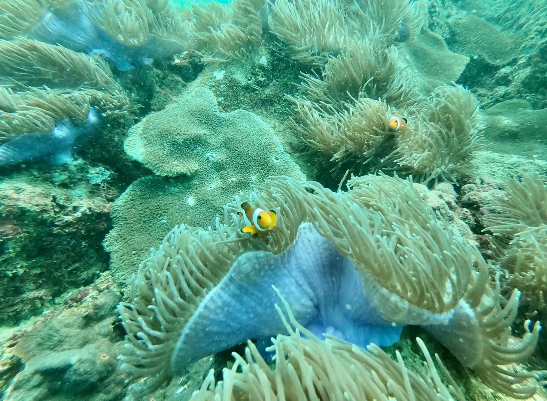 Mook Montra Resort Sea Front