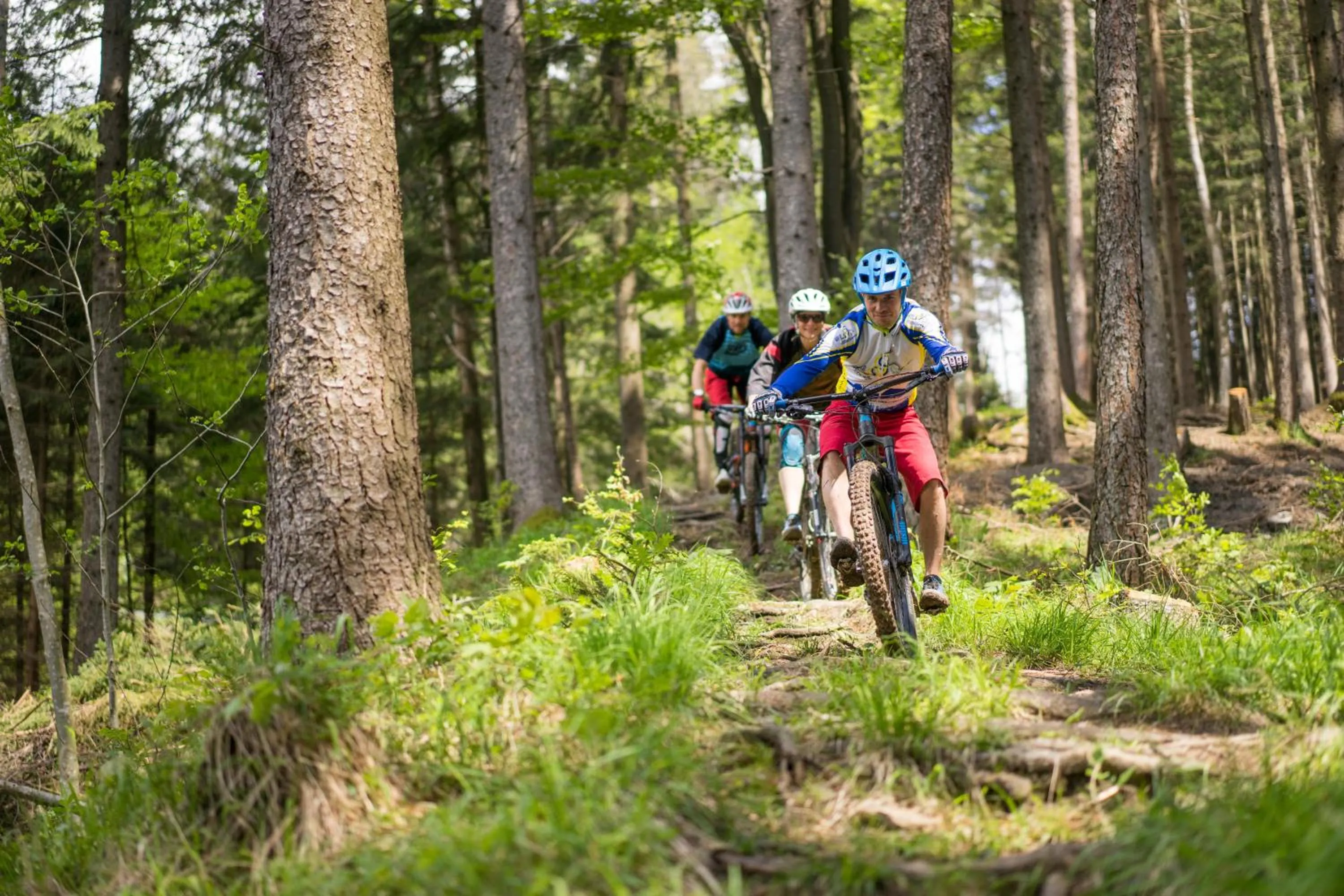 Cycling in Spa&Aktiv Hotel Lavendel