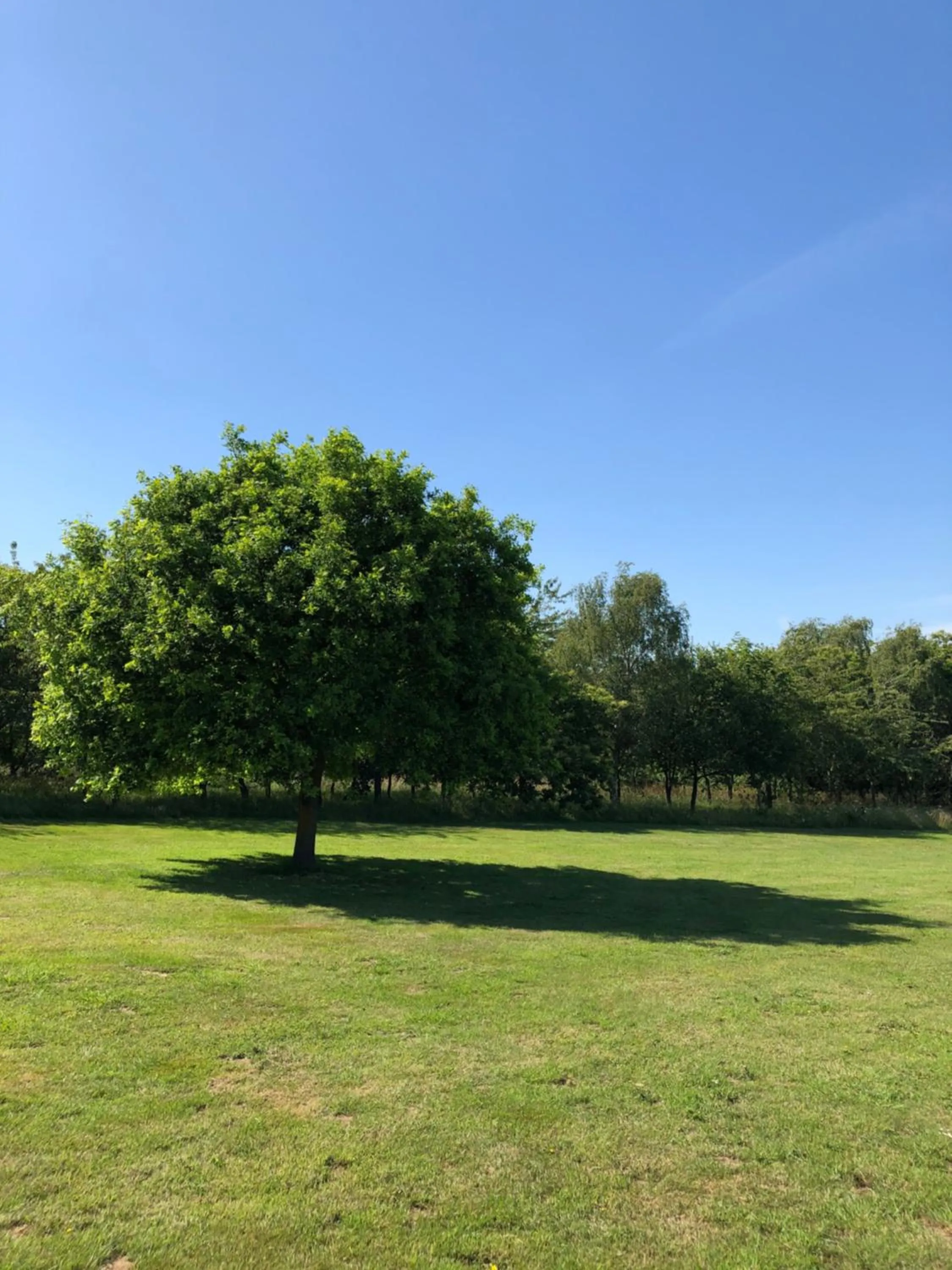 Natural landscape in Meadows Barn