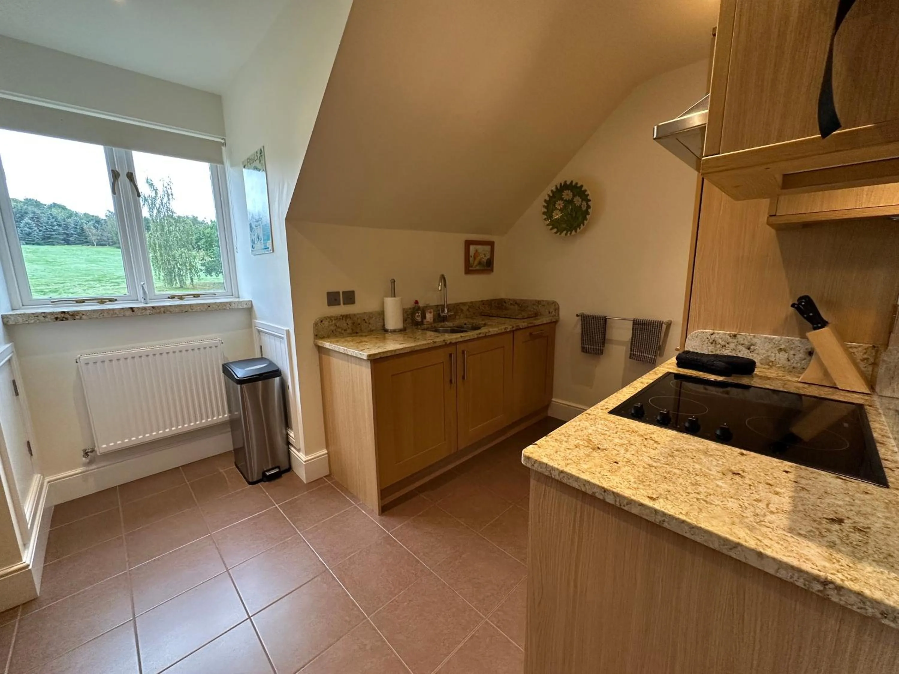 Kitchen or kitchenette in Meadows Barn