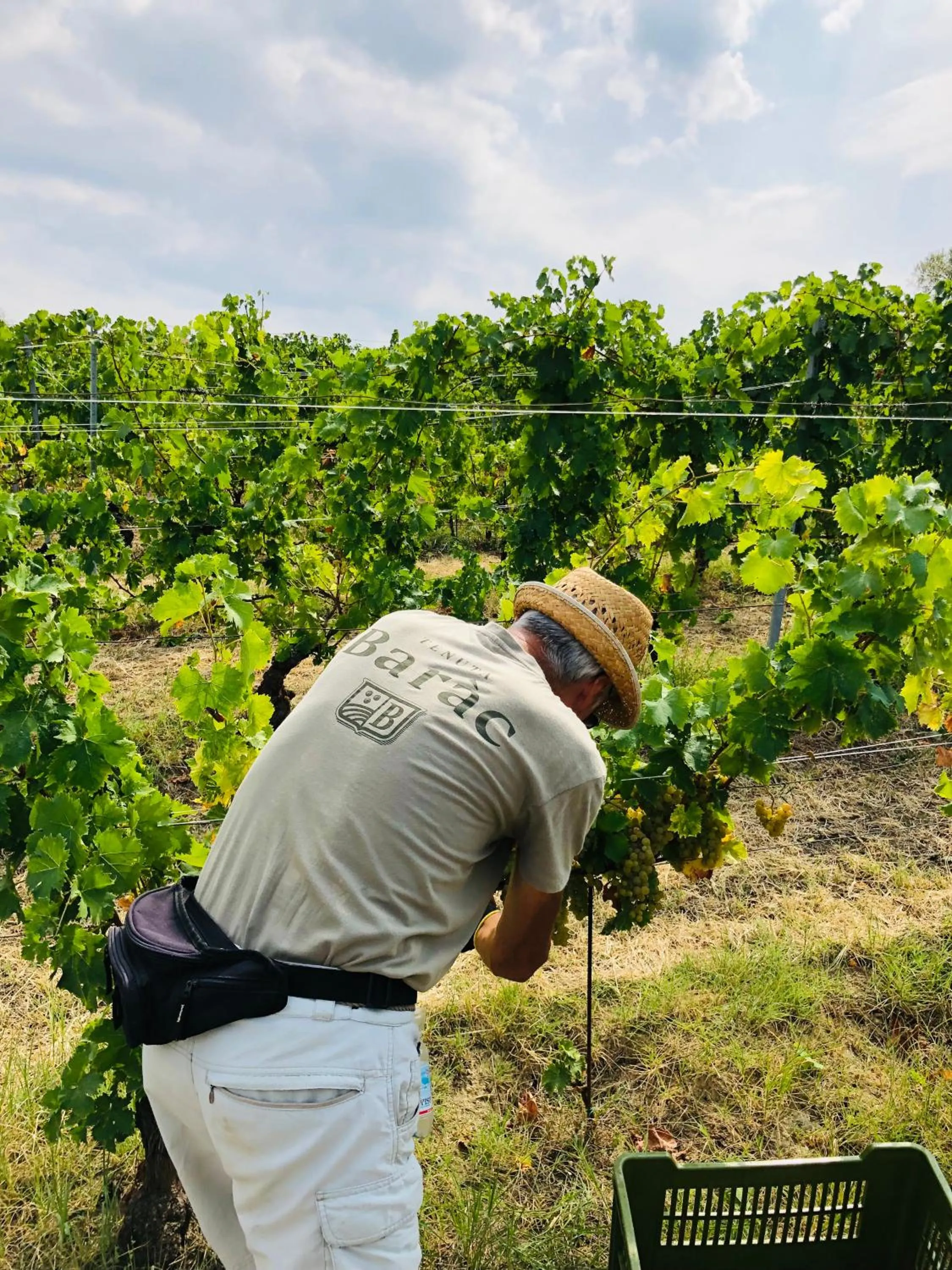 People in Tenuta Baràc