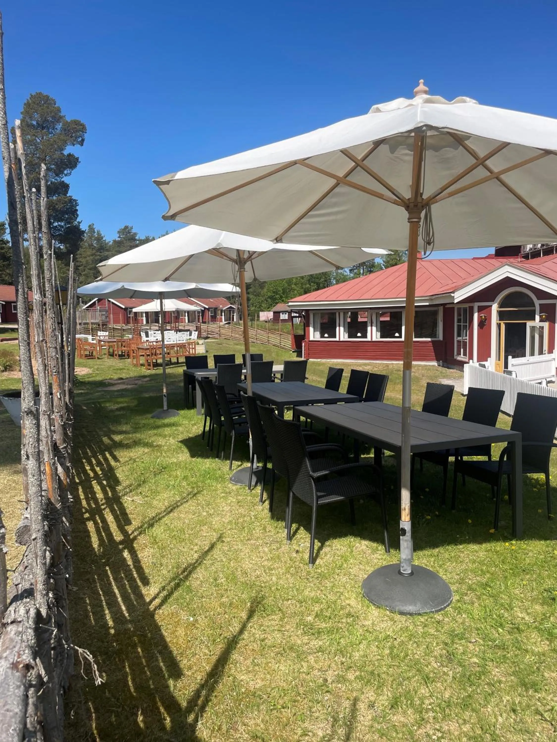 Garden in Hotell Moskogen