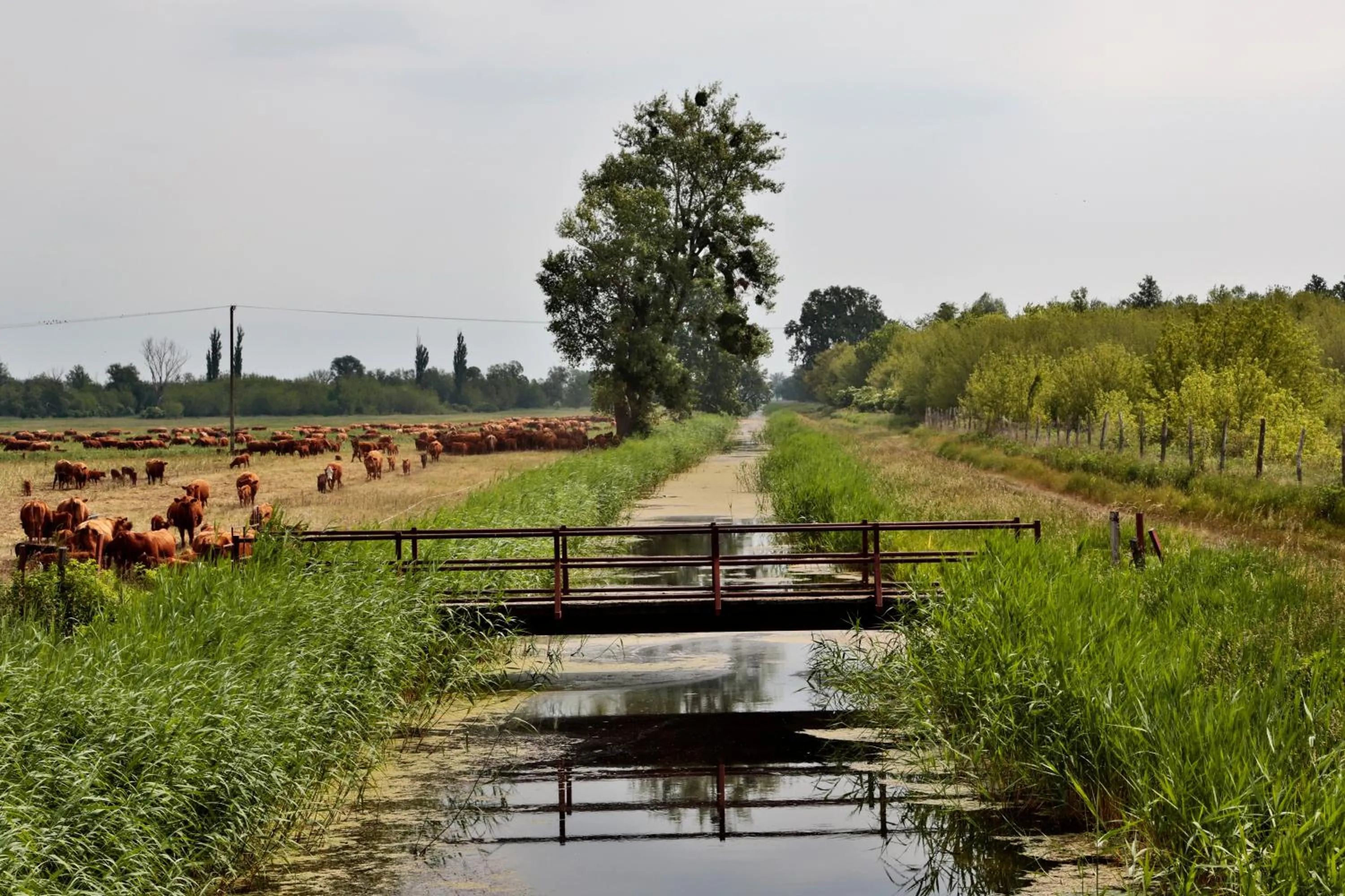 Other in Hubertus Hof Landhotel