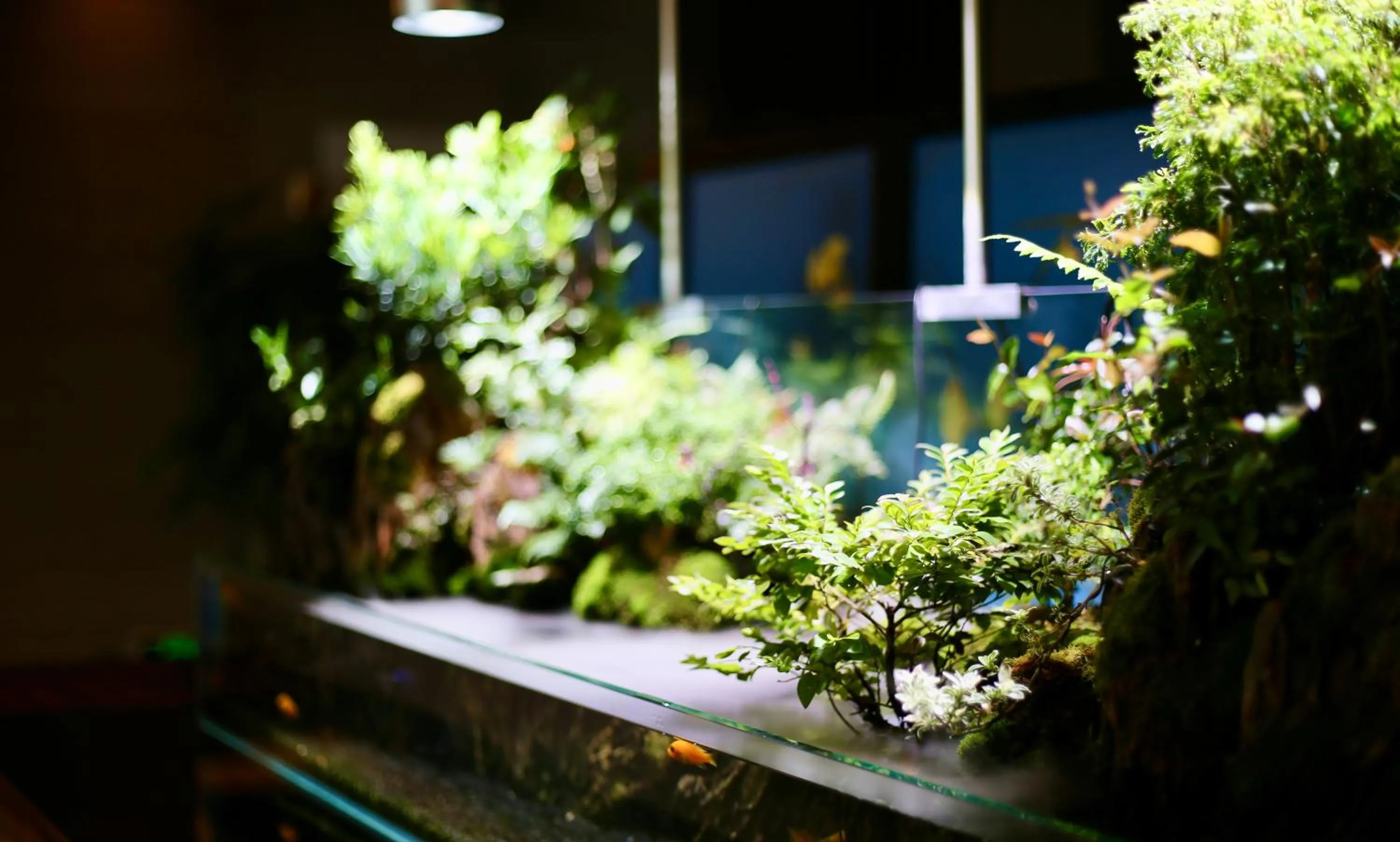 Lobby or reception in Crowne Plaza Shenzhen Longgang City Centre by IHG