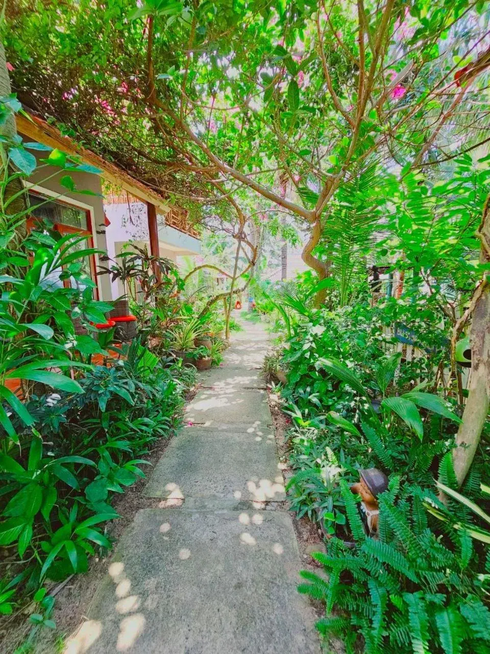 Double Room in Casa Beach Resort Double Room in Casa Beach Resort