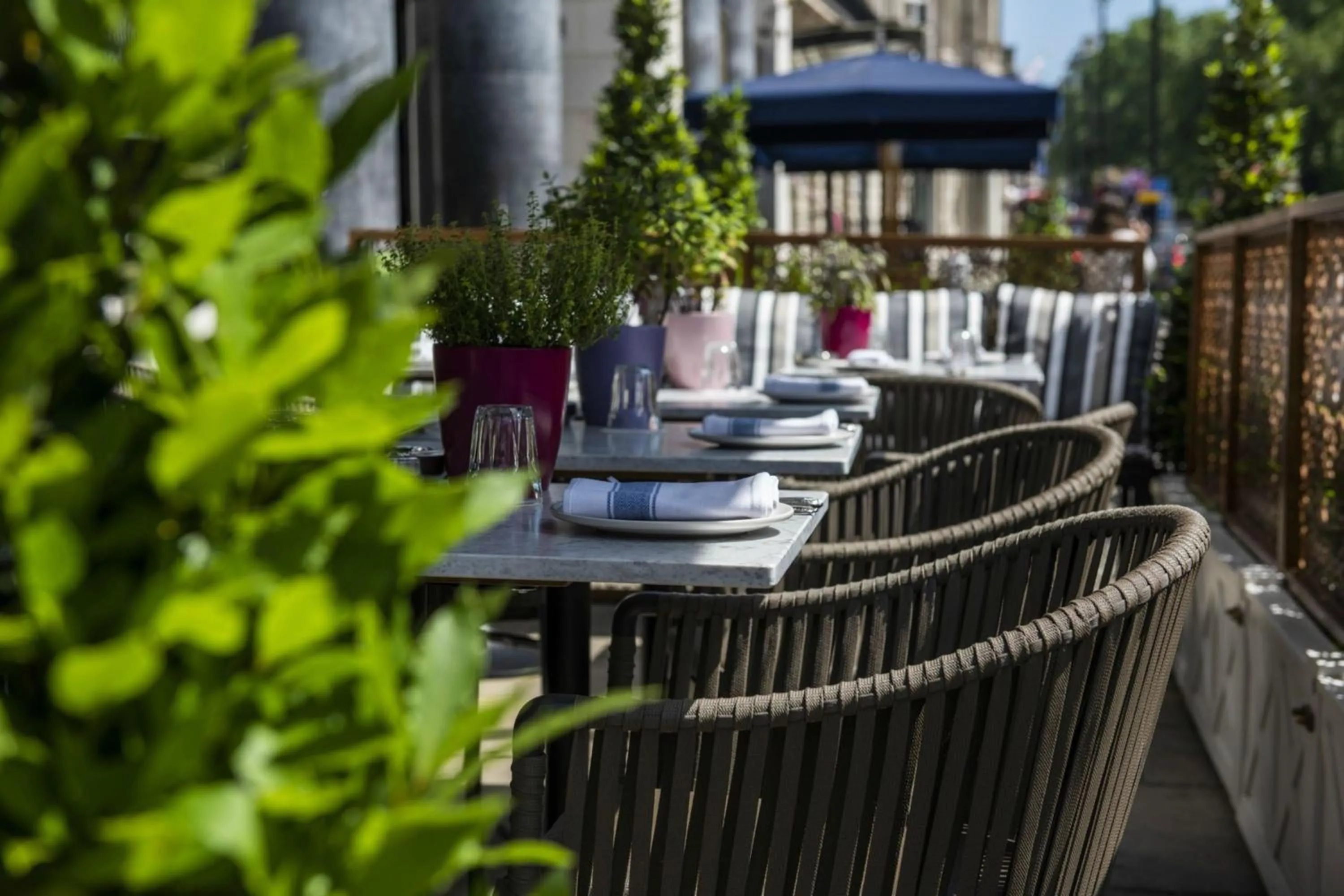 Restaurant/places to eat in Sheraton Grand London Park Lane