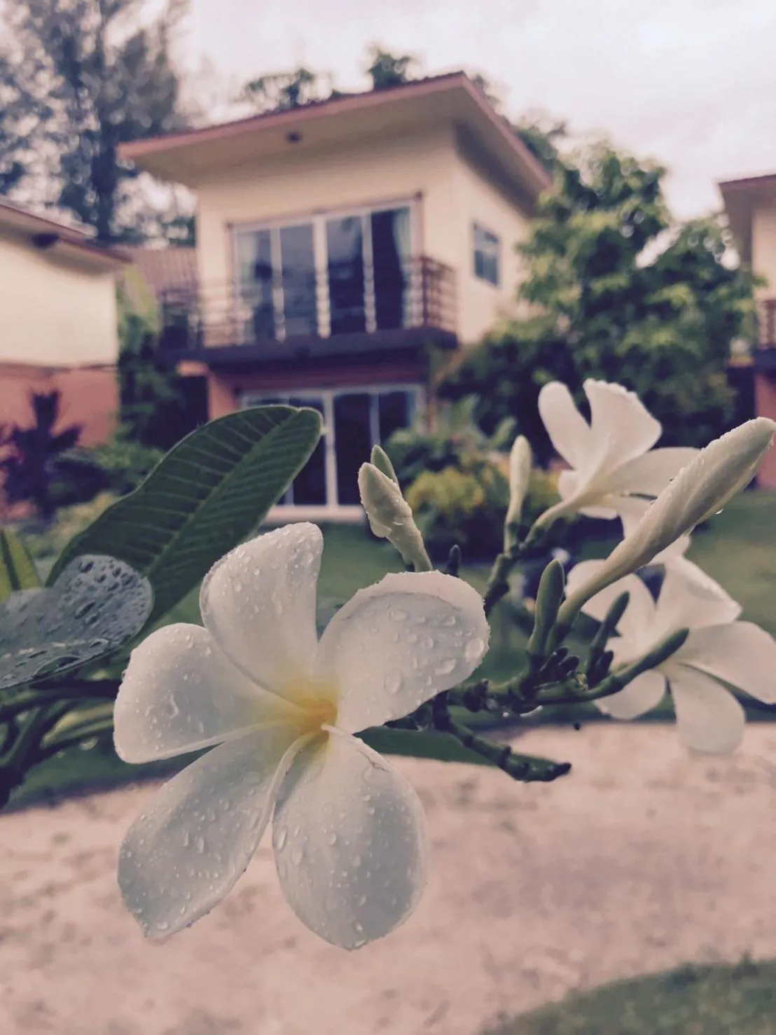 Property building in Z-Touch Lipe Island Resort