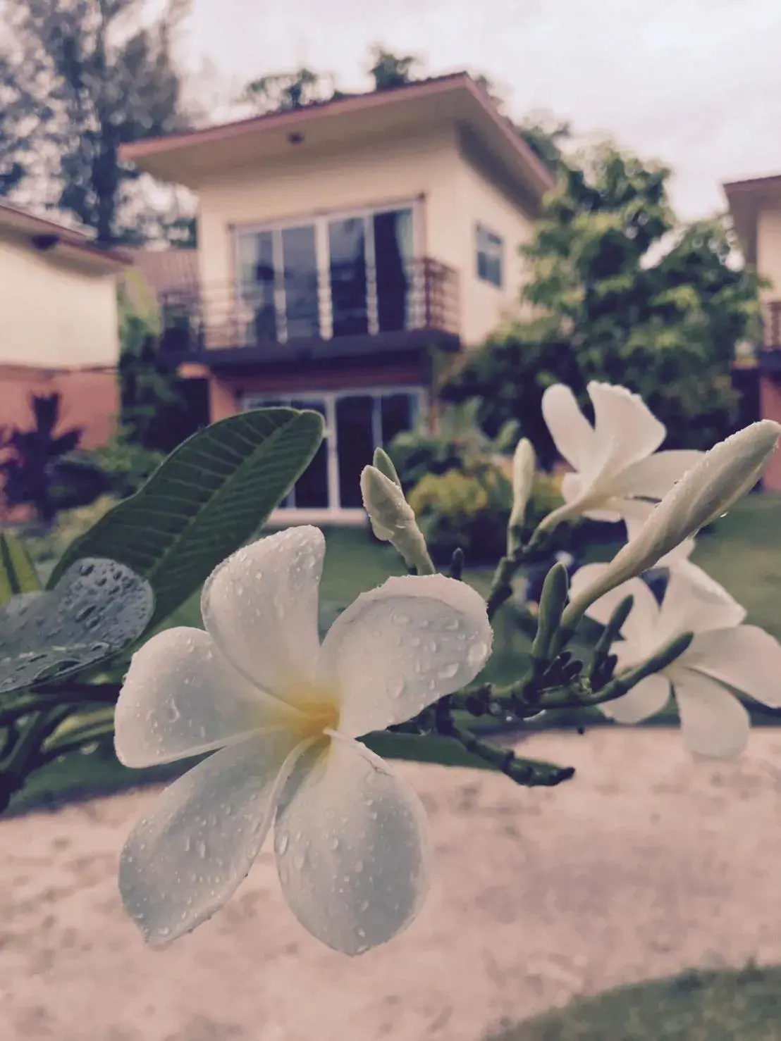 Property building in Z-Touch Lipe Island Resort Property building in Z-Touch Lipe Island Resort