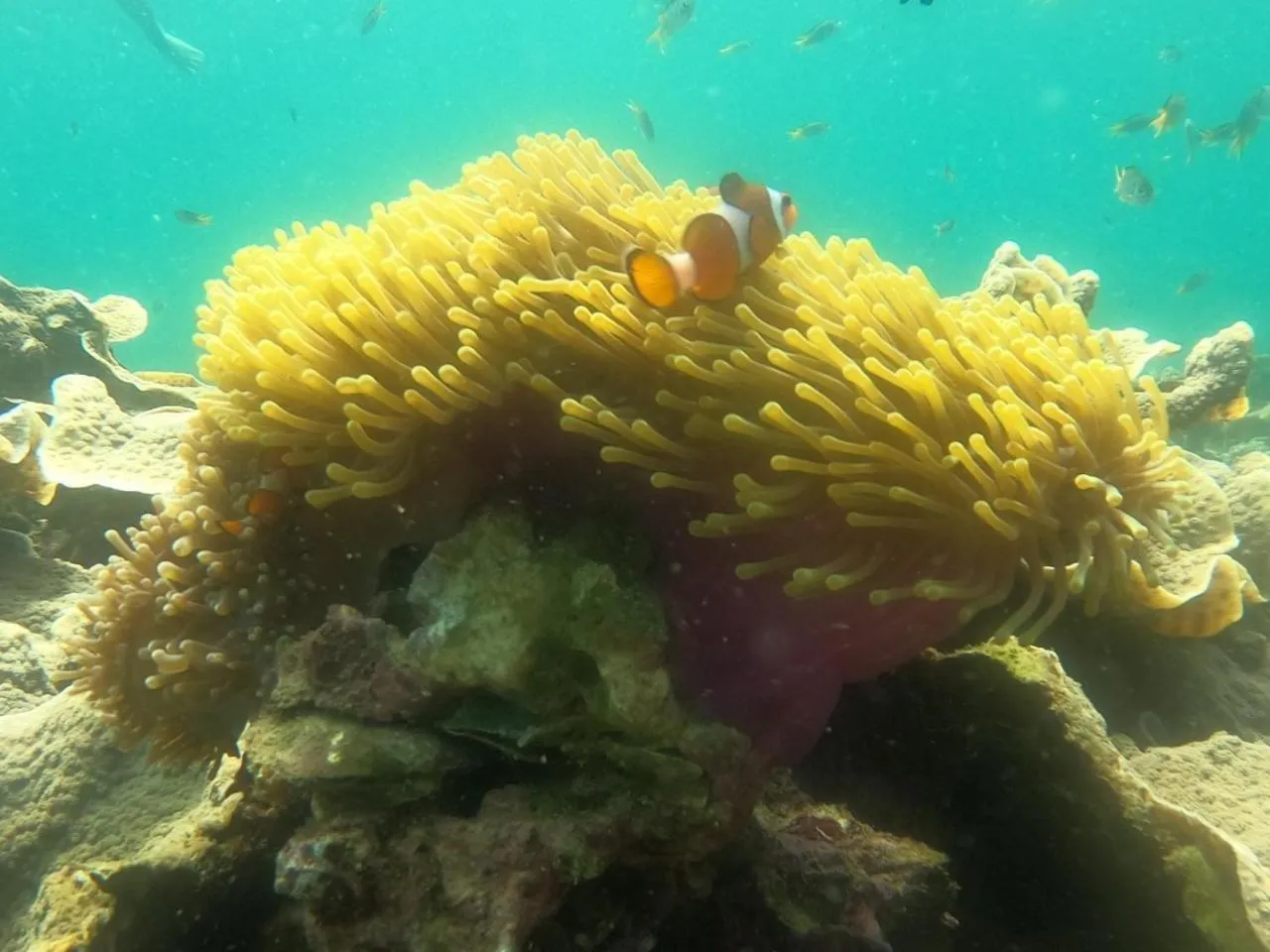 Activities in Z-Touch Lipe Island Resort