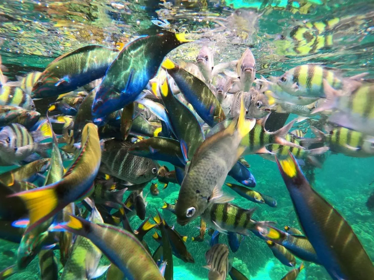 Activities in Z-Touch Lipe Island Resort