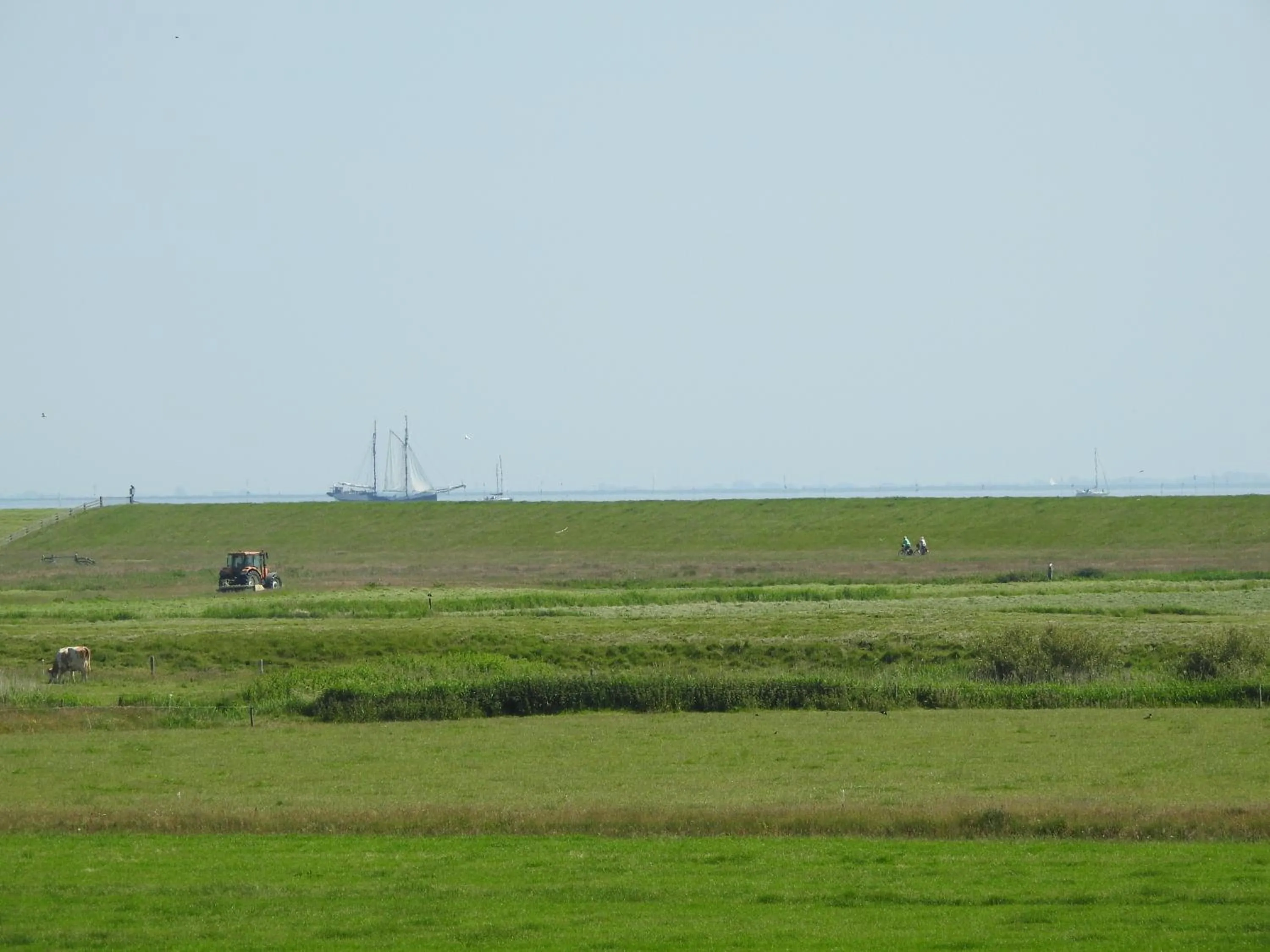 Property building in De Stormvogel