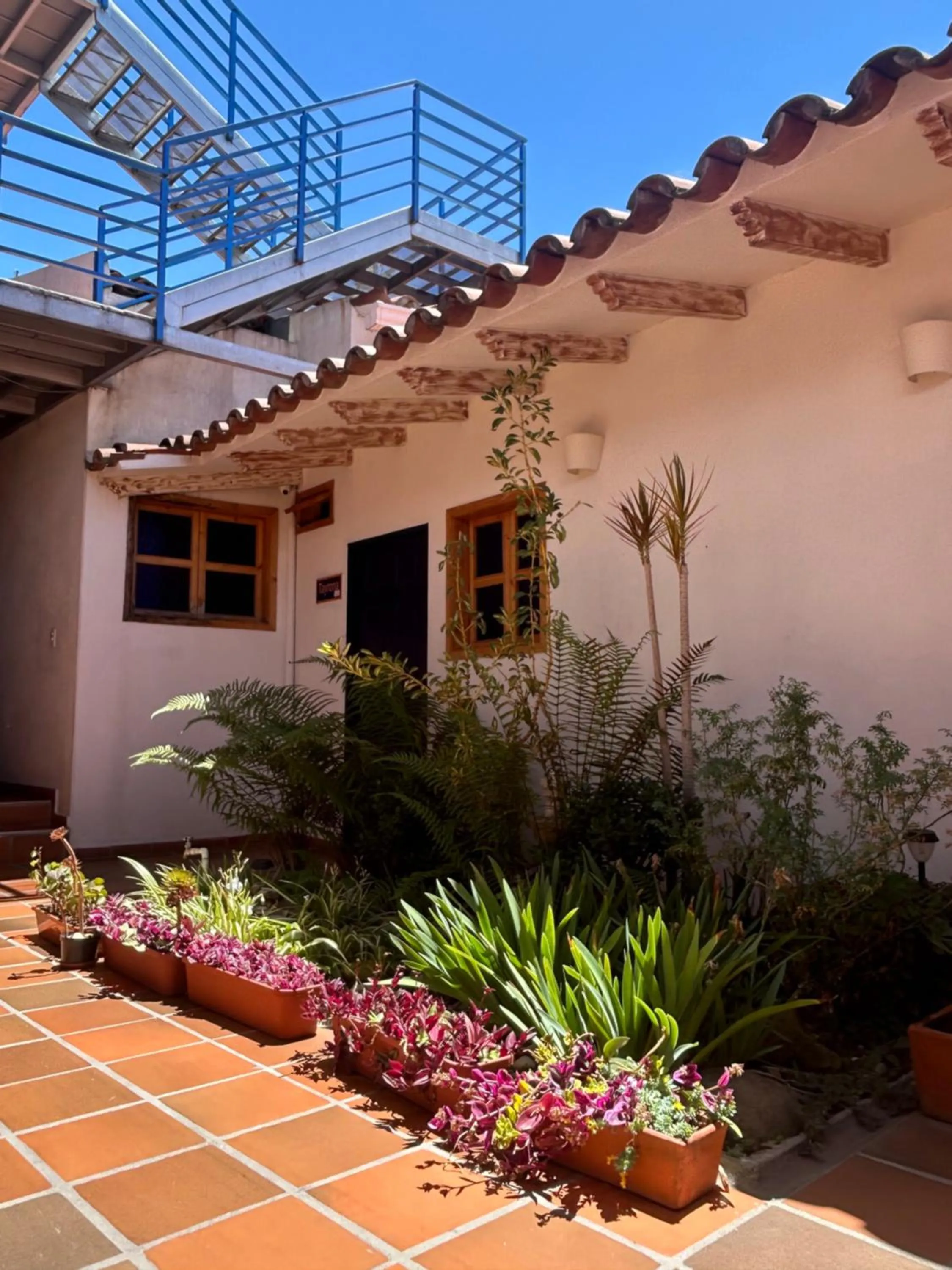 Garden in Zana Hotel Boutique