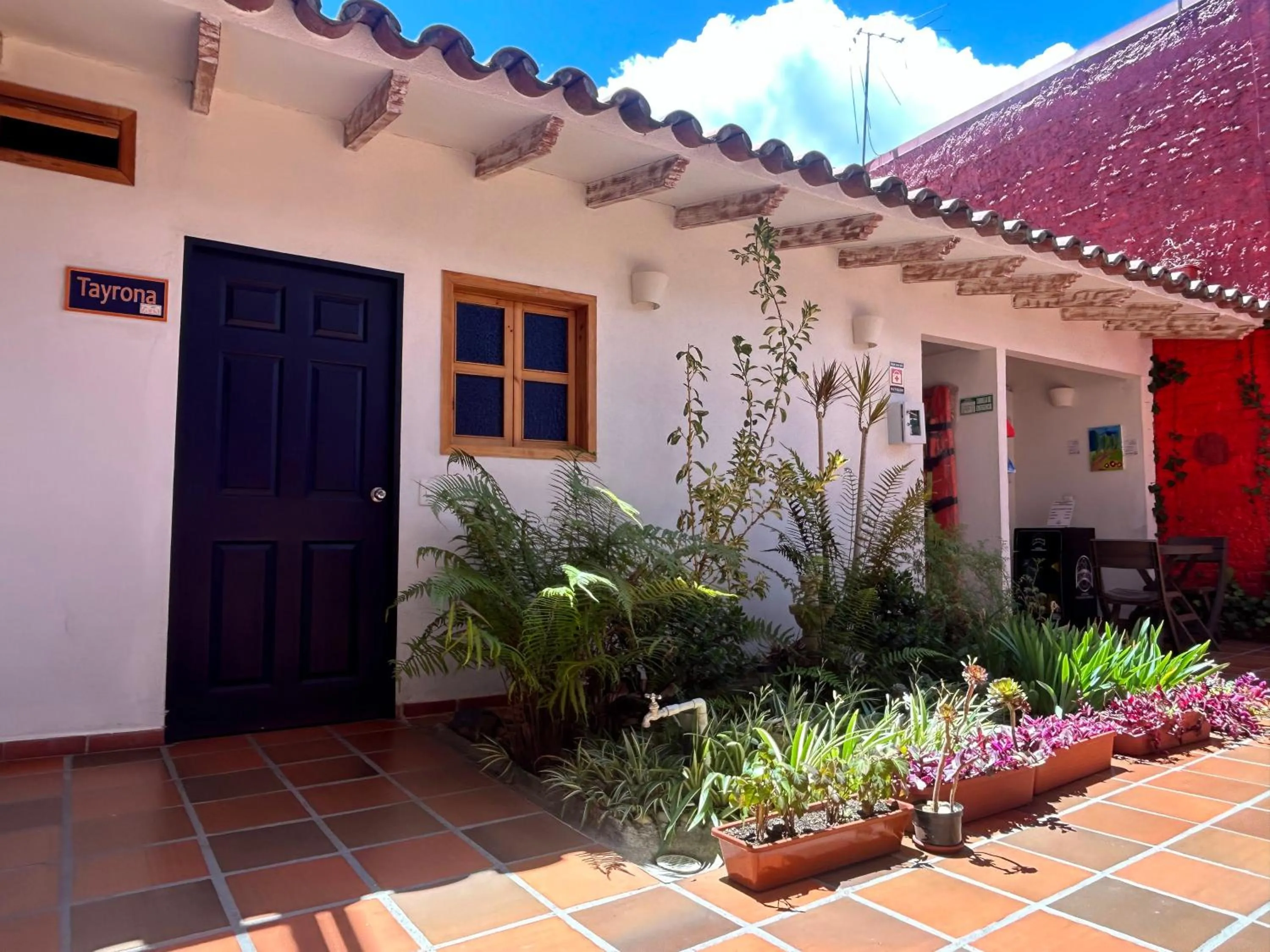 Garden in Zana Hotel Boutique