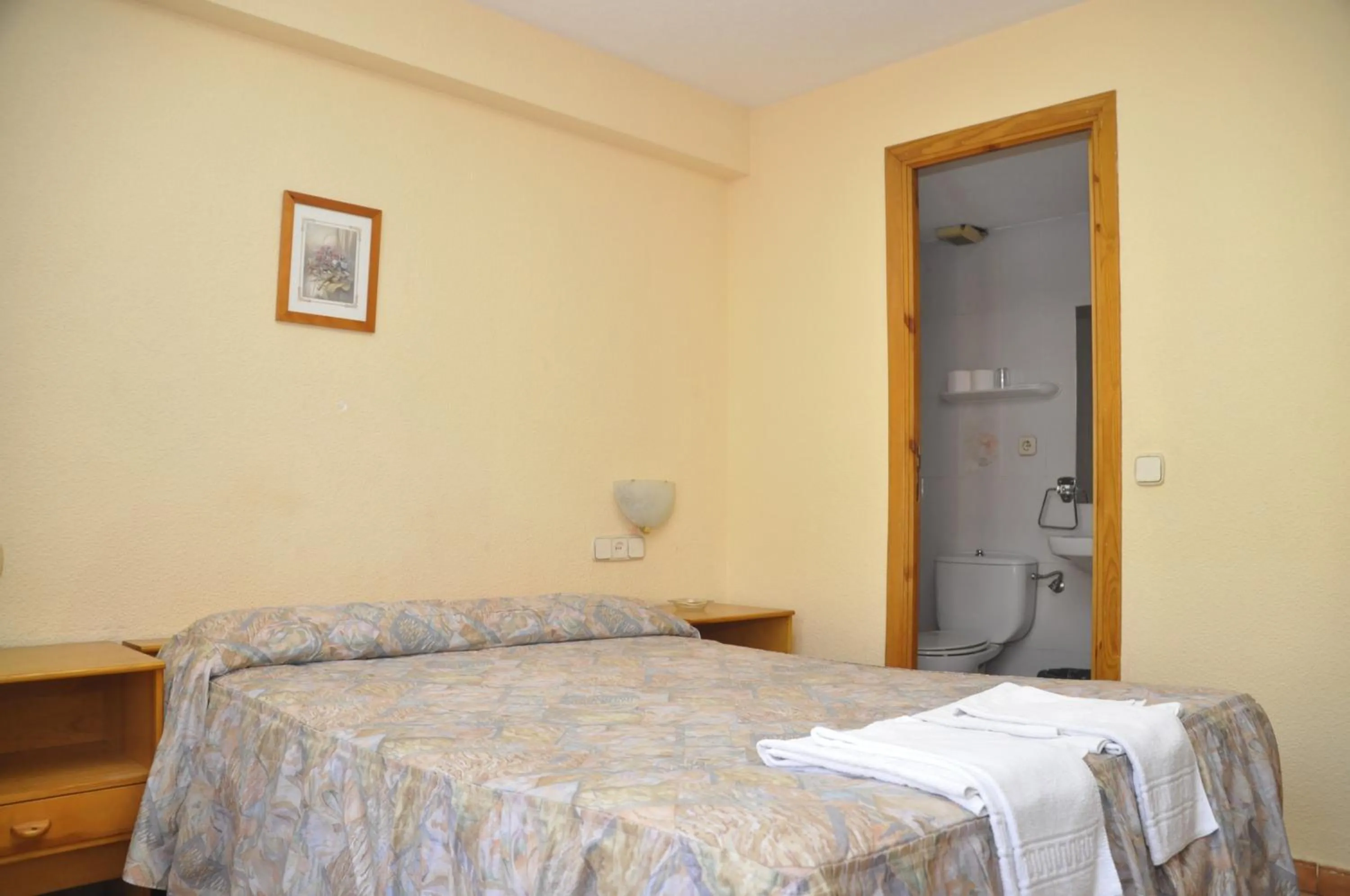 Double Room in Hotel Tres Arcos