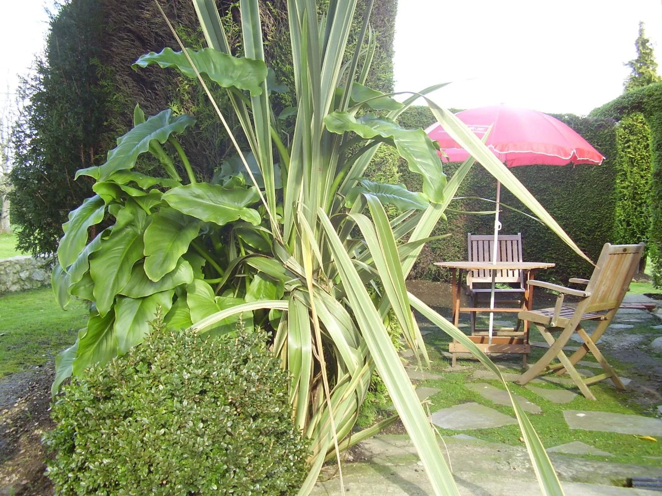 BBQ facilities in El Magnolio