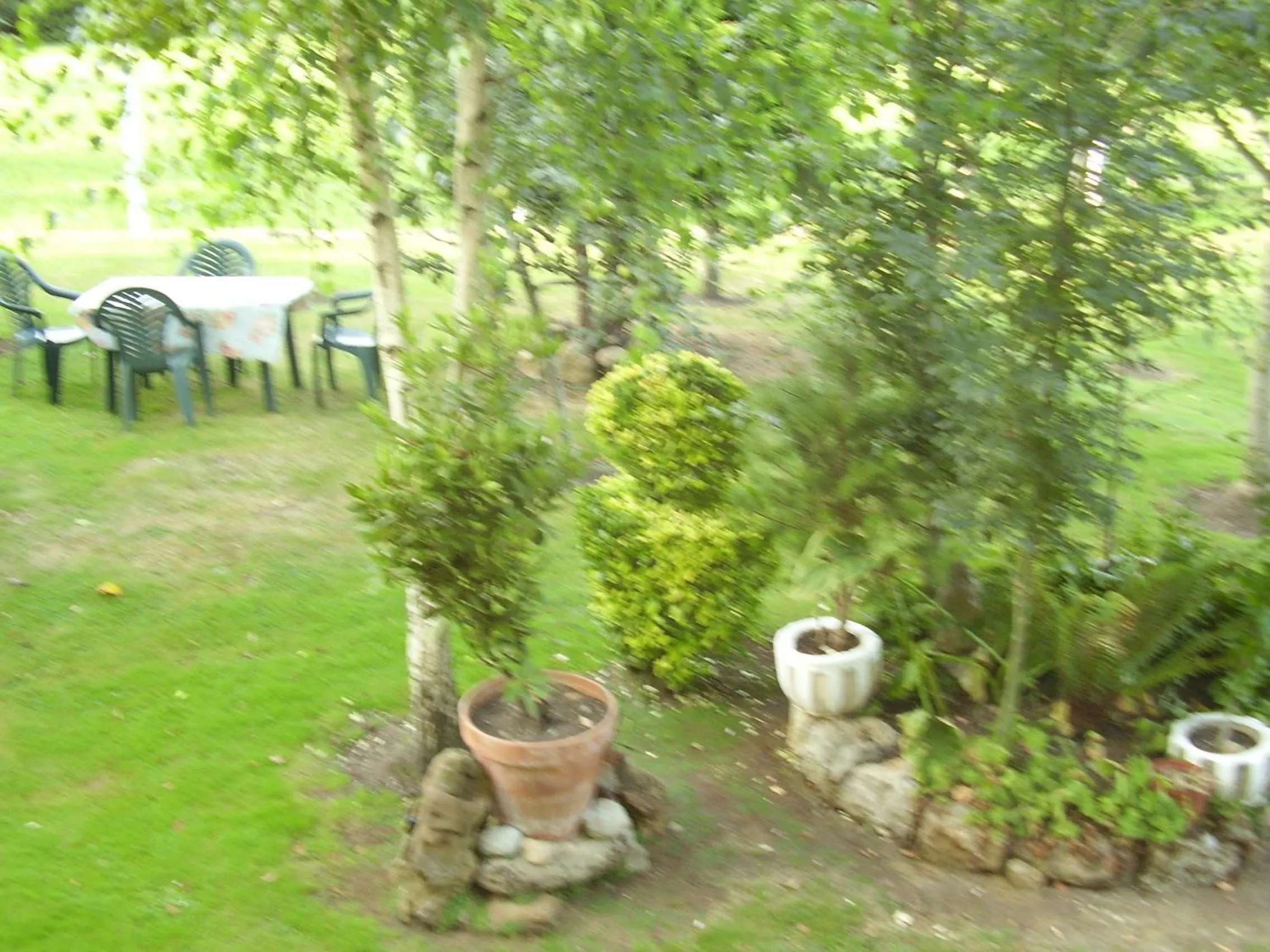 Garden in El Magnolio