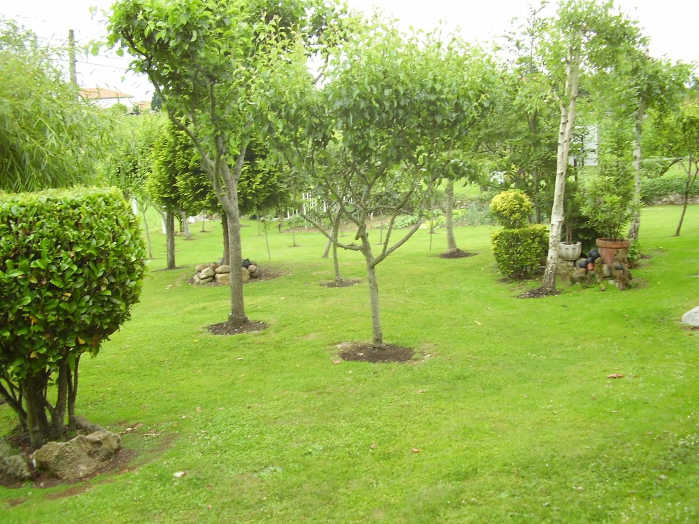 Property building in El Magnolio