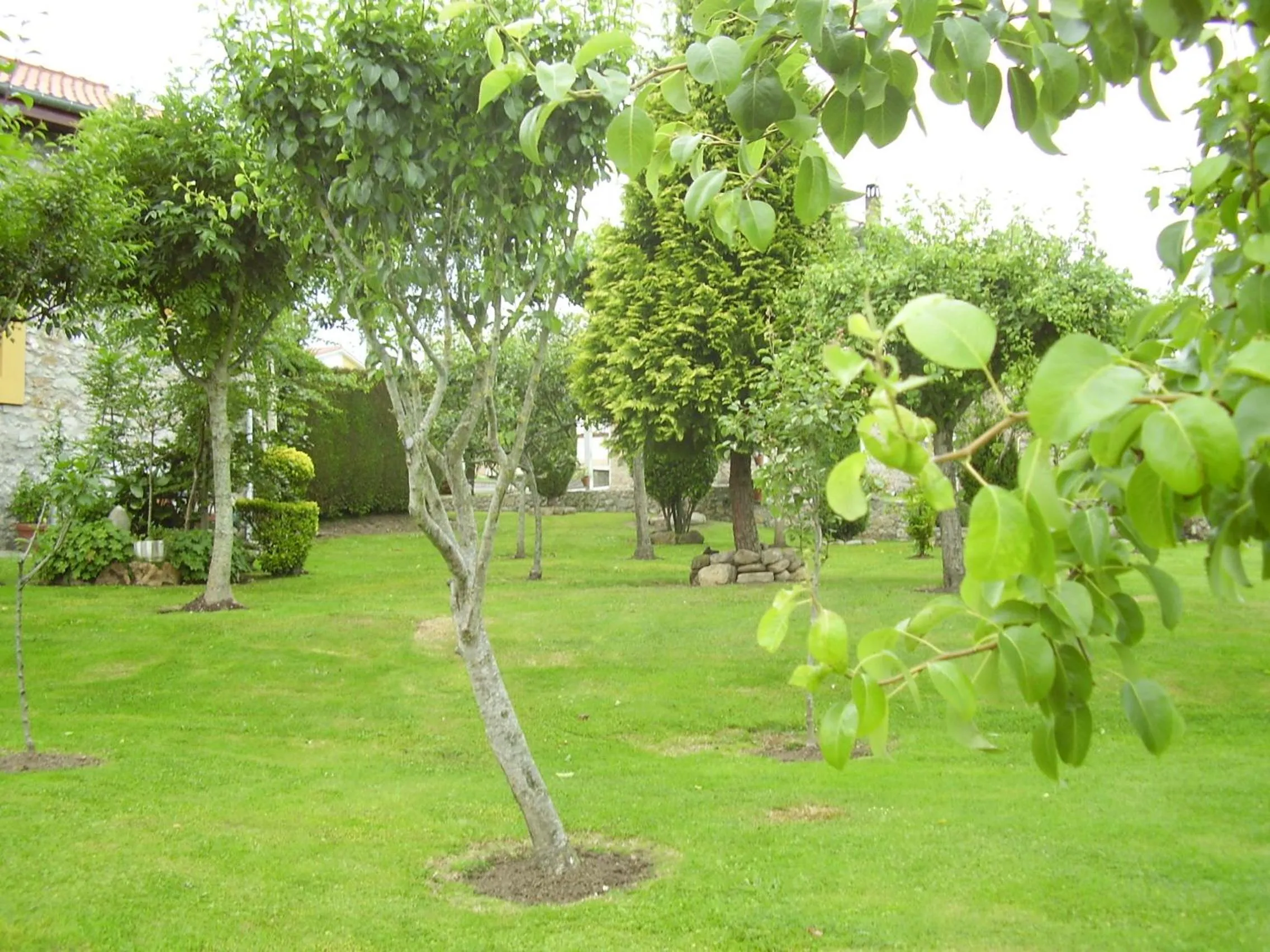 Property building in El Magnolio