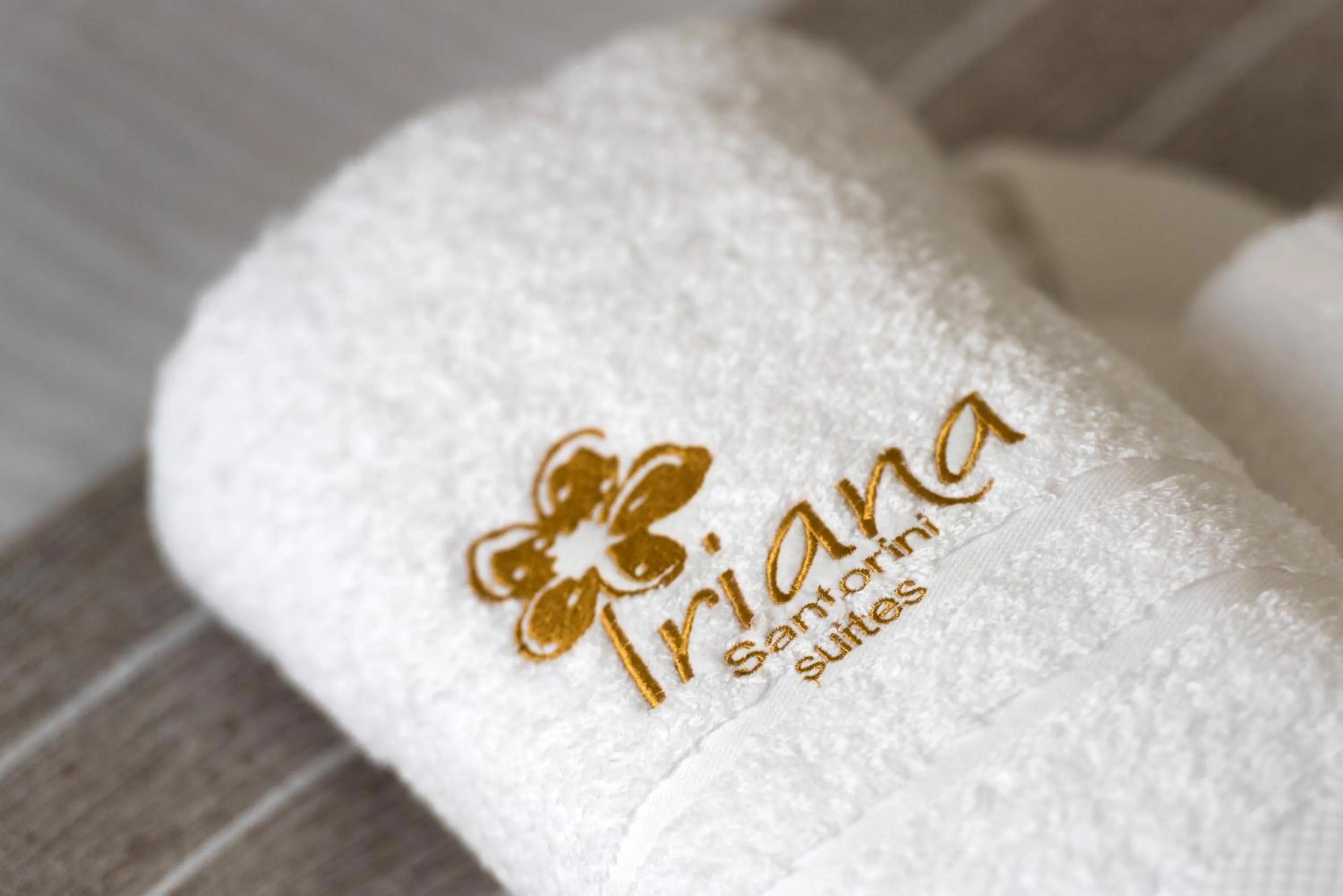 Decorative detail in Iriana Suites