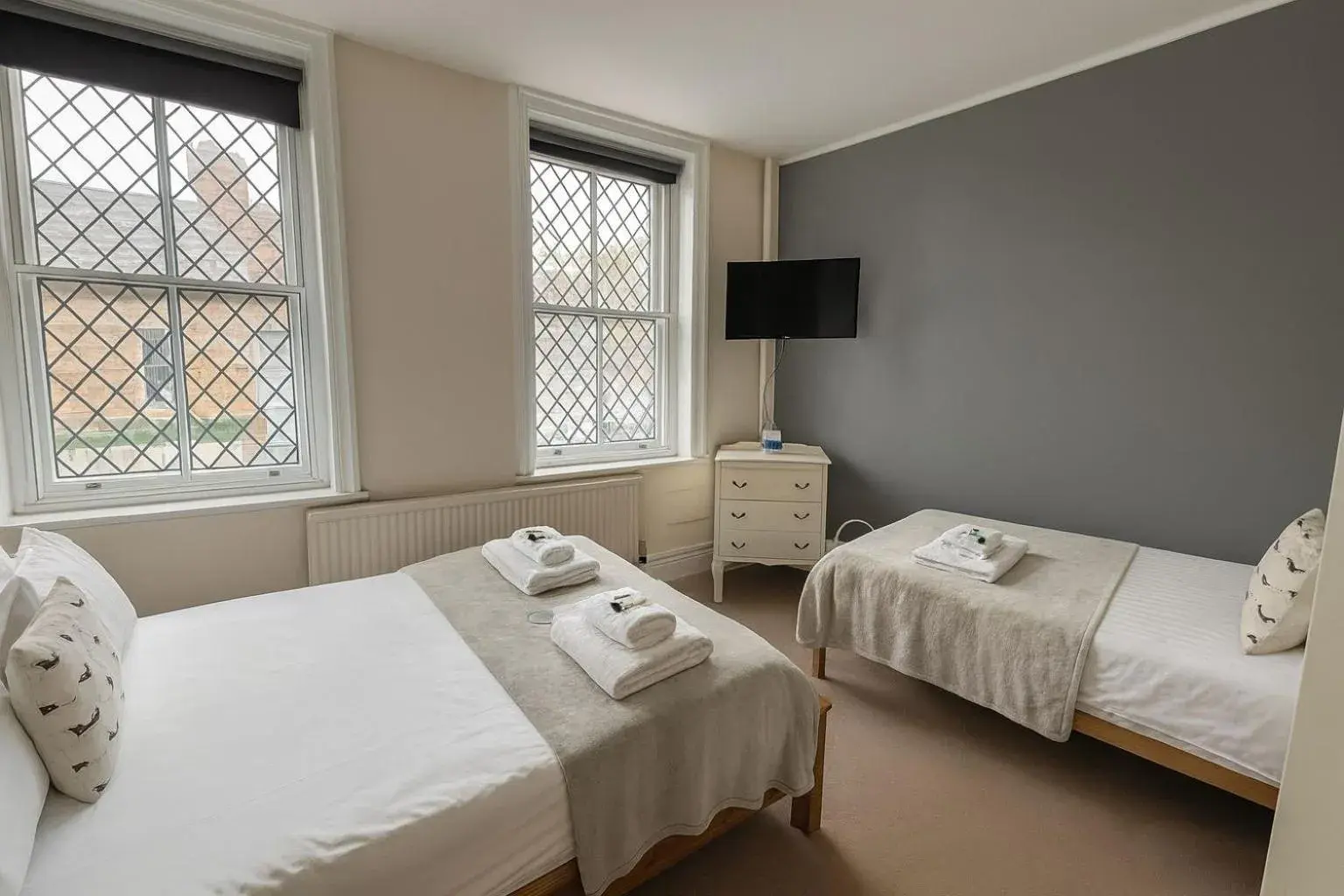 Twin Room - single occupancy in The Dolphin Hotel Twin Room - single occupancy in The Dolphin Hotel