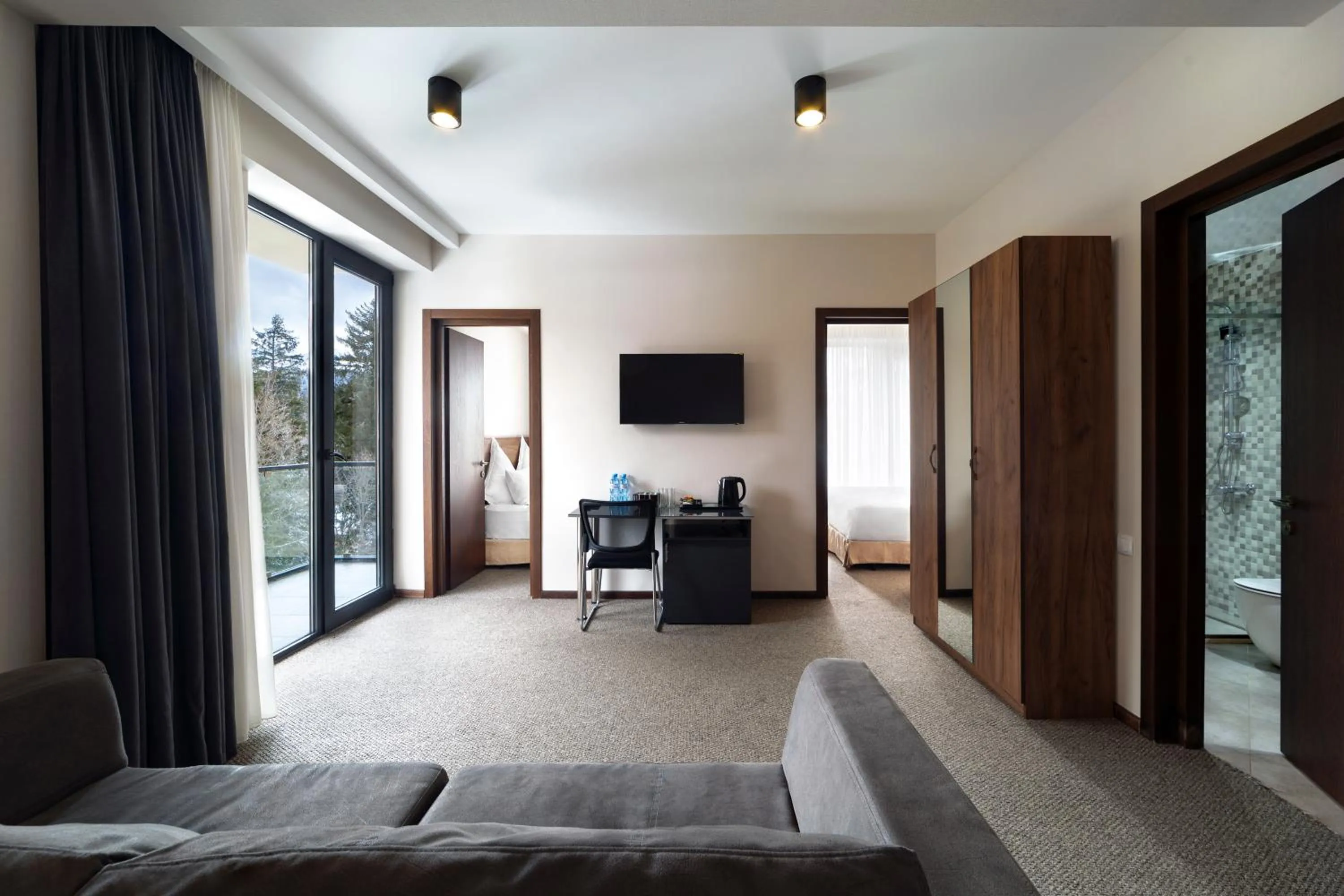 TV and multimedia in AuRoom Bakuriani Resort