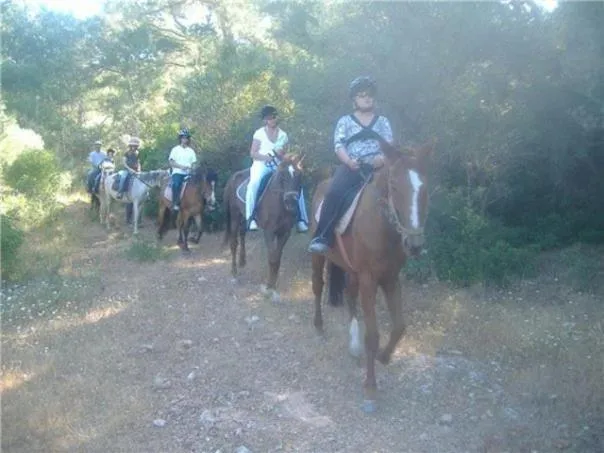 Other in Apollon Hotel