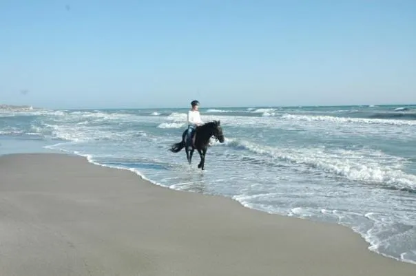 Beach in Apollon Hotel
