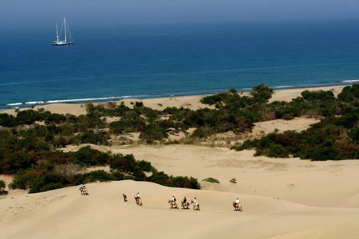 Beach in Apollon Hotel