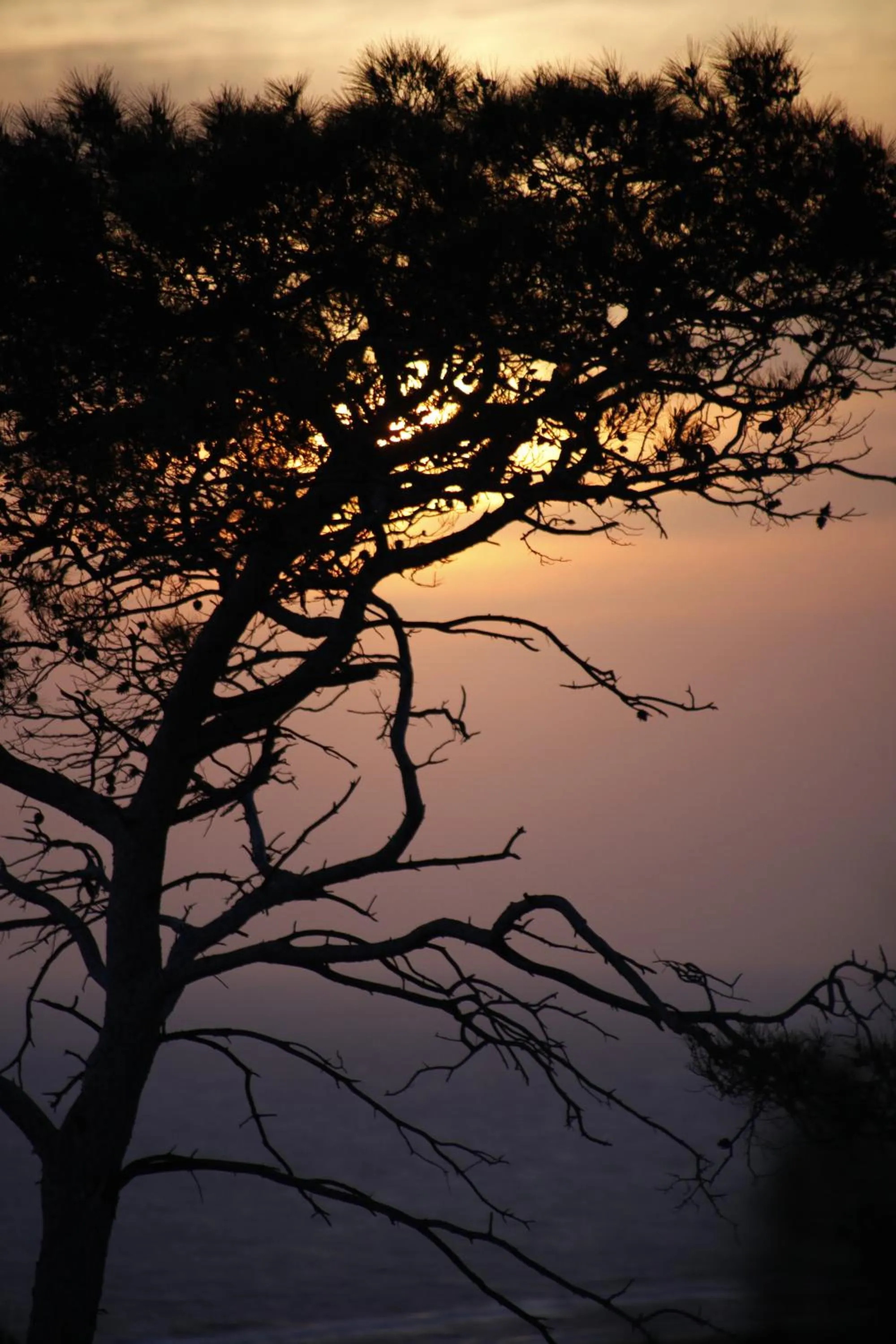 Other in Apollon Hotel