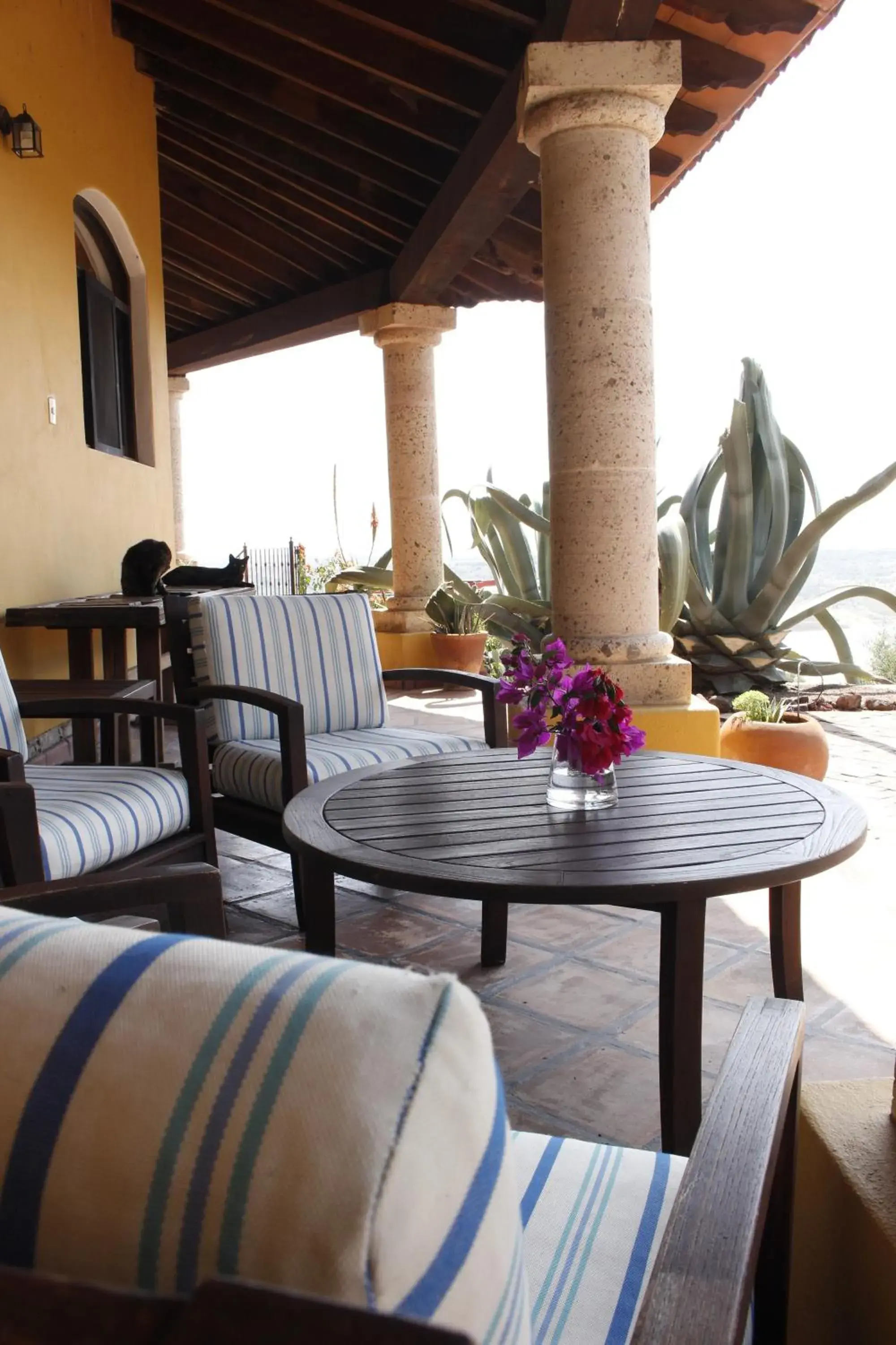 Basic Triple Room in Gran Despertar El Faro Basic Triple Room in Gran Despertar El Faro