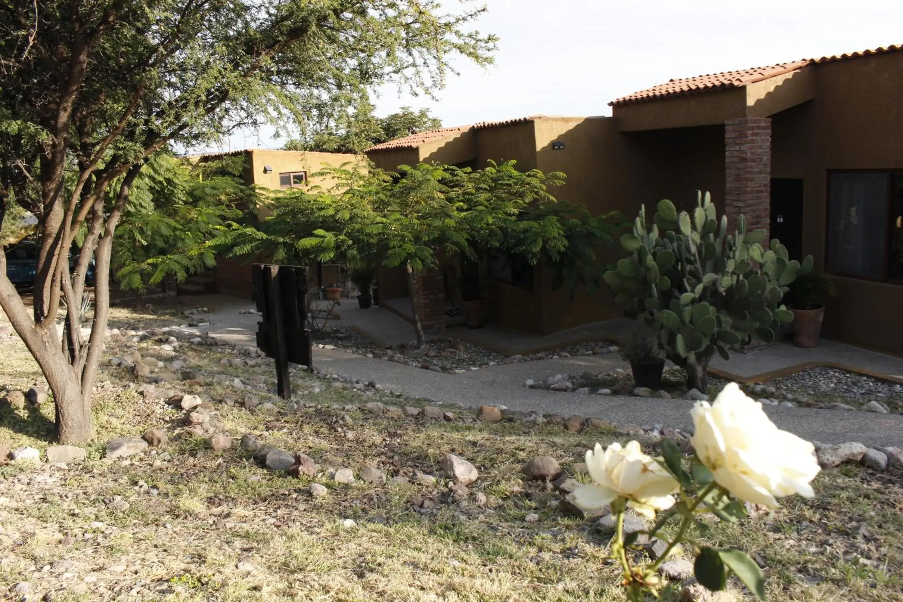 Double Room with Lake View - single occupancy in Gran Despertar El Faro Double Room with Lake View - single occupancy in Gran Despertar El Faro